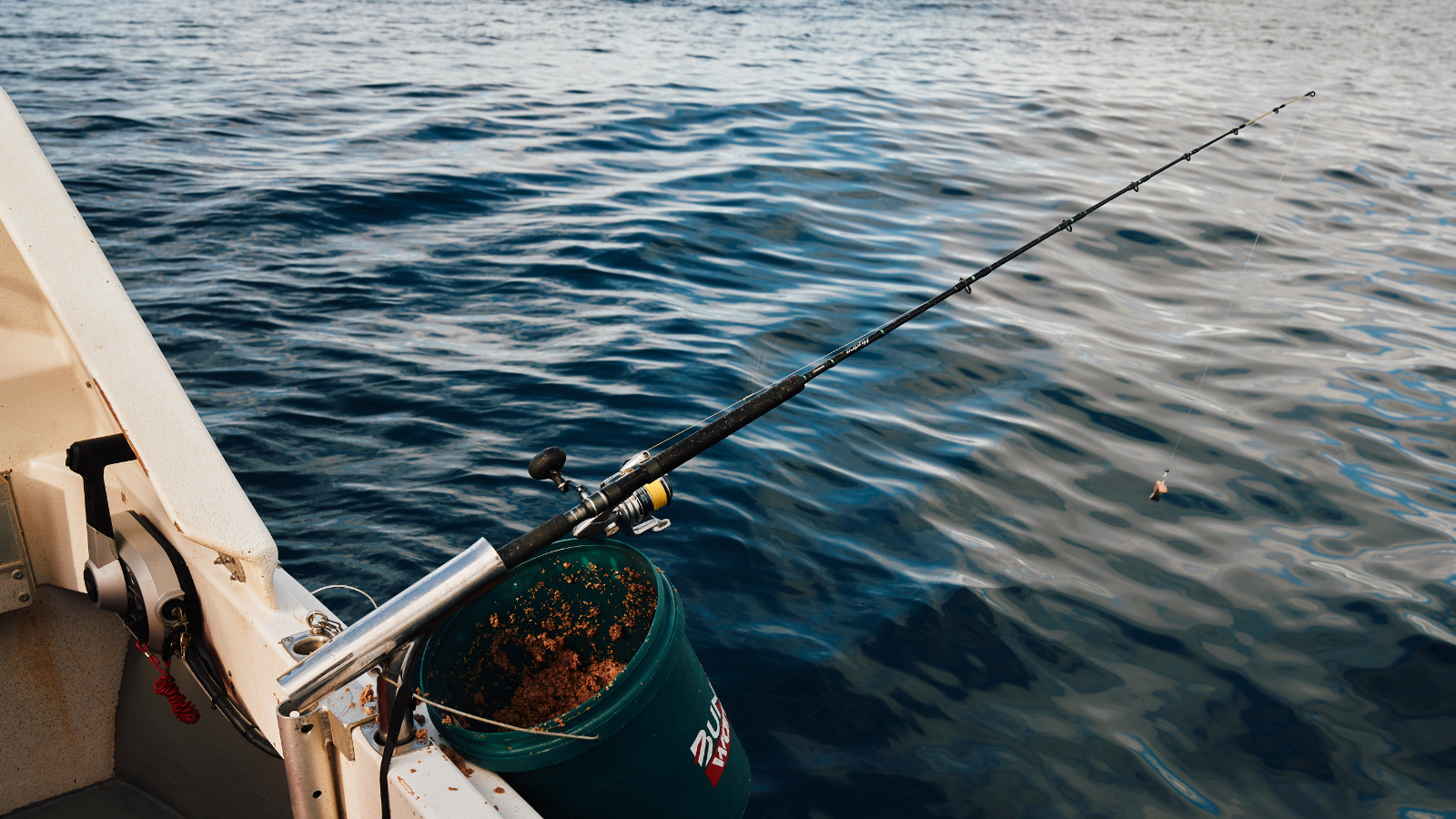 Ulladulla Blue Mackerel | Astakos Seafood Wholesaler NSW2.png