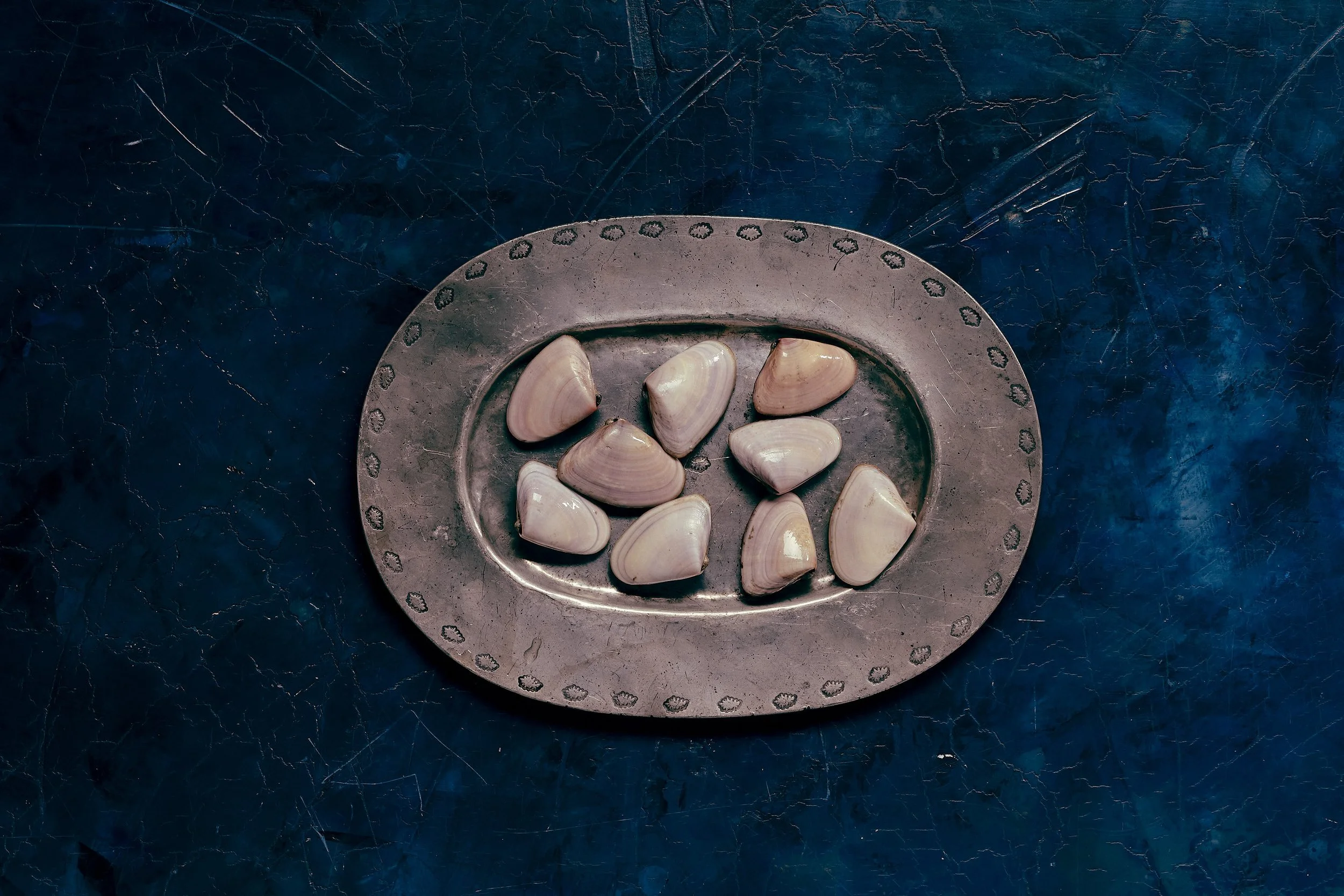 Wild Harvested | Australian Surf Clams | Premium Seafood Wholesale