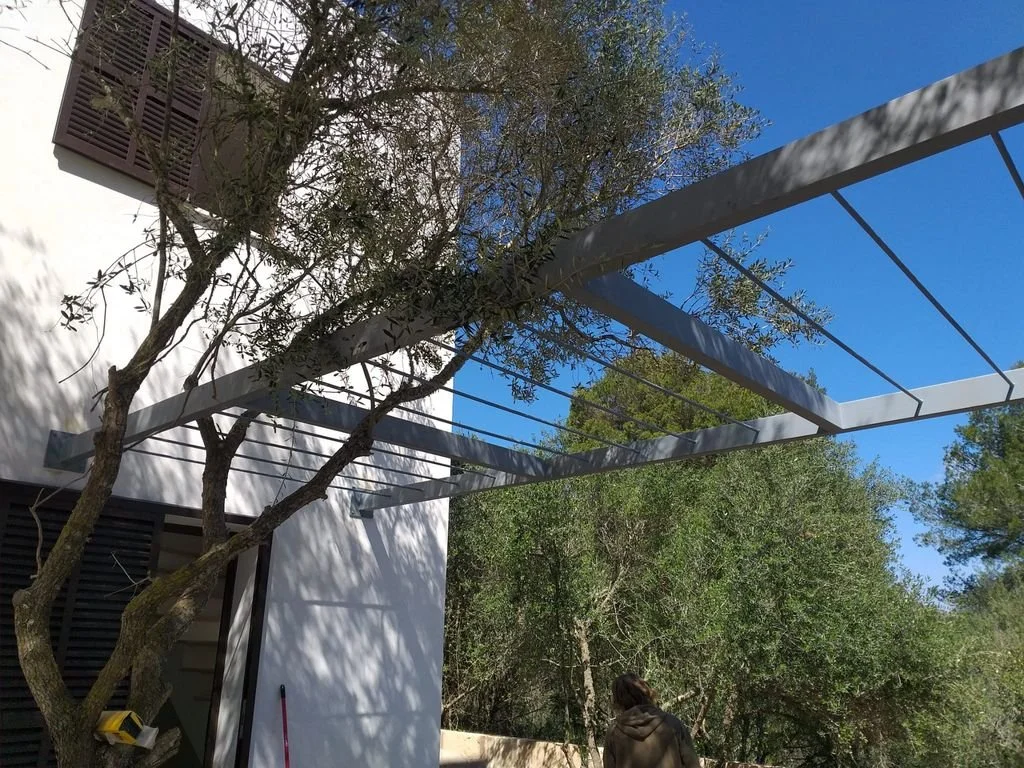 Árbol y estructura metálica en un área exterior con árboles y cielo azul brillante