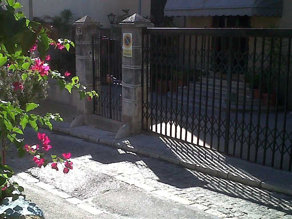 Puerta de metal en el acceso a un hogar, rodeada de paredes de piedra y plantas con flores rosas y verdes.
