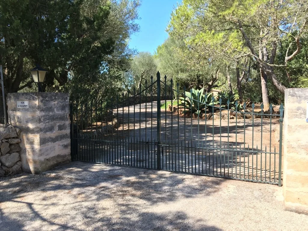 Puerta negra de reja en entrada a un camino rodeado de árboles y plantas en un entorno natural