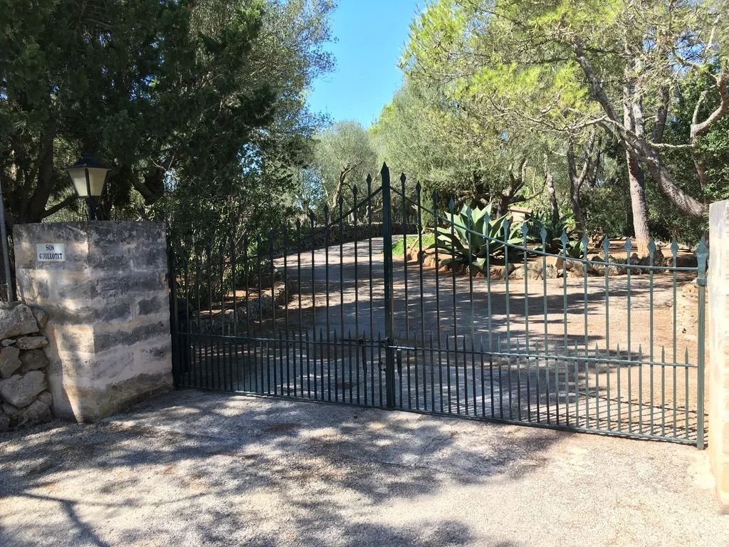 Entrada a una finca o propiedad con reja negra, bordeada de árboles y plantas suculentas