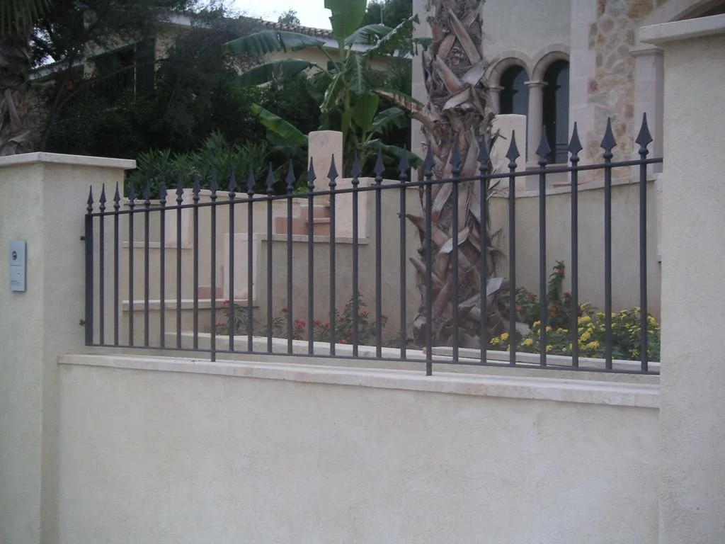 Vista de una casa con muro de concreto, verja de hierro con picos, una planta de palmera y otras plantas en el jardín.