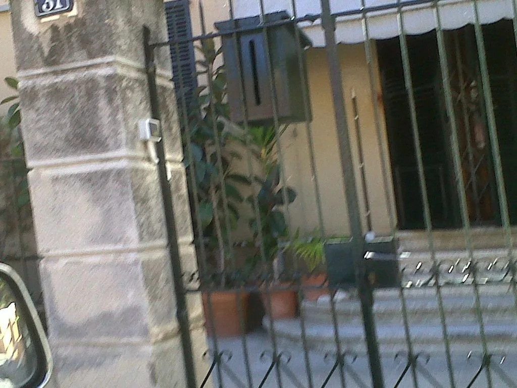 Puerta y ventanas de una casa con reja de metal, plantas en macetas y un buzón en la reja.