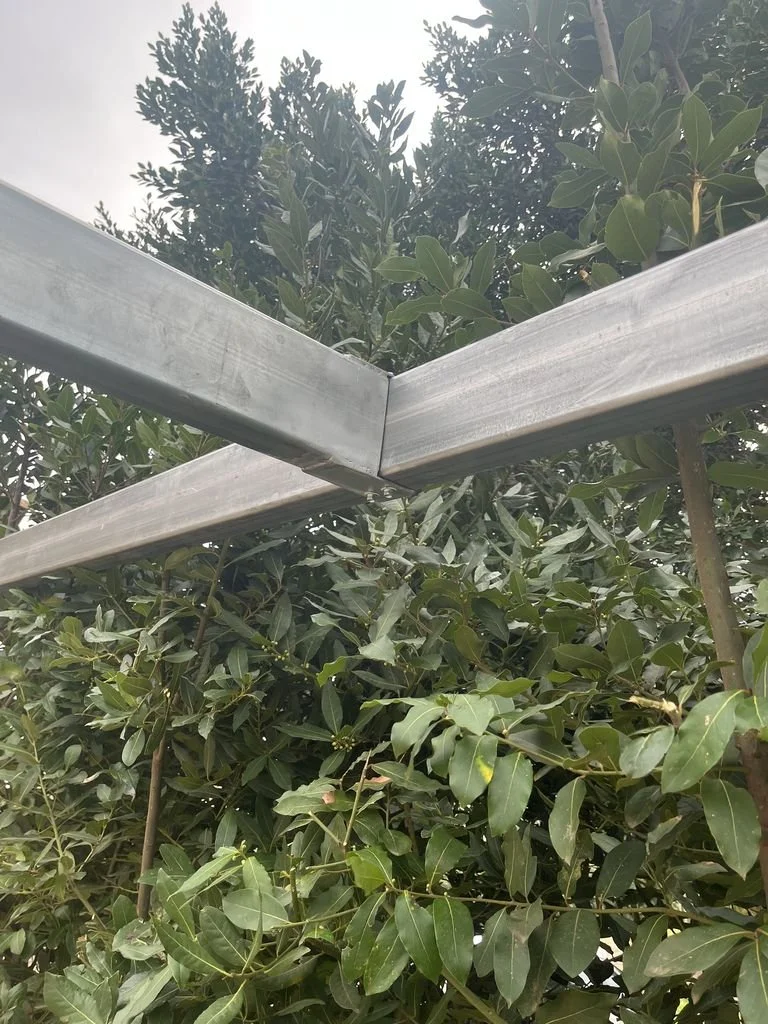 Rama de árbol cubierto con follaje verde junto a una estructura de metal.