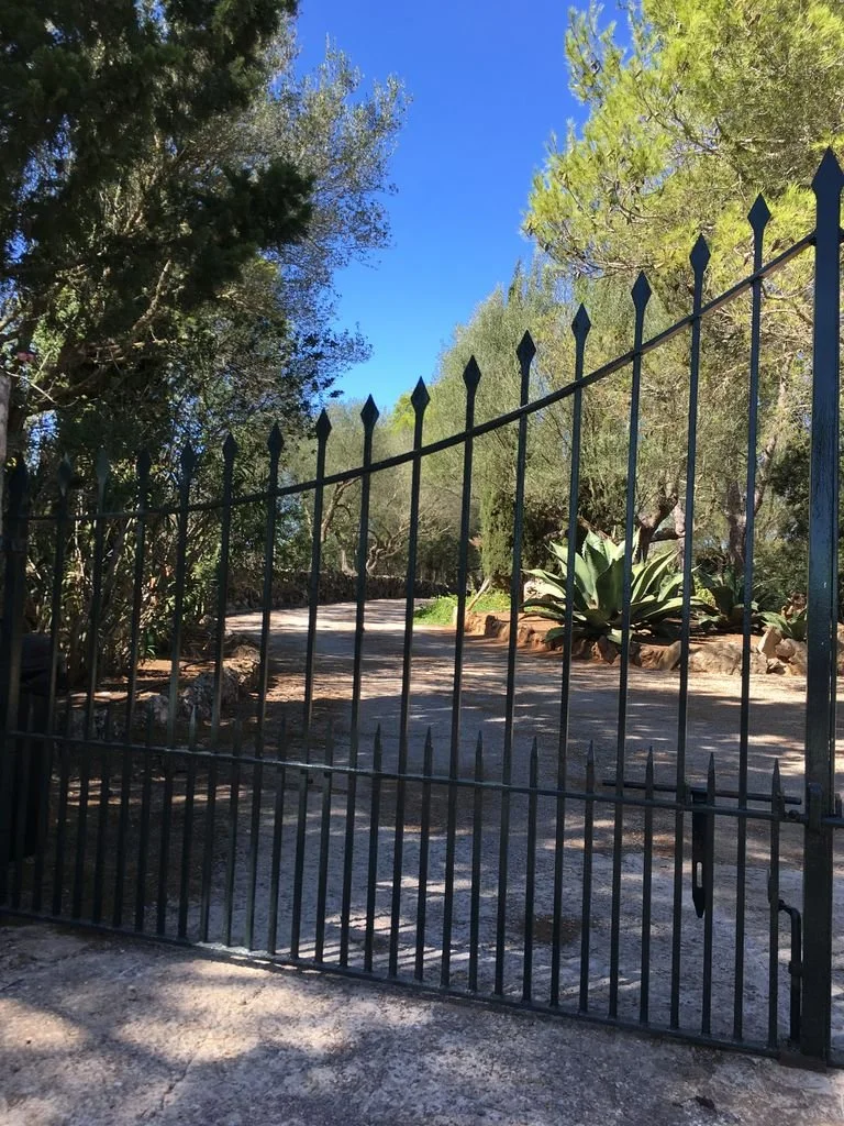 Portón de metal negro que da entrada a un jardín con árboles y plantas suculentas bajo un cielo azul despejado.