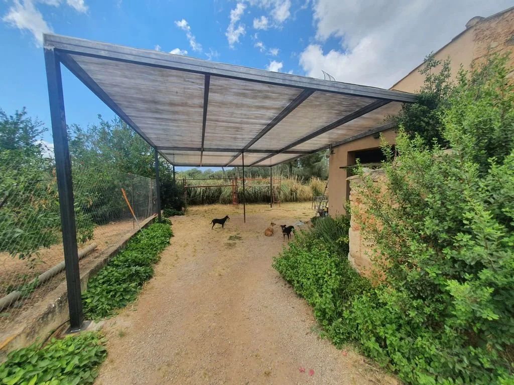 Patio con techo de sombra y pequeñas mascotas que parecen perros, rodeado de vegetación y un muro con superficie de ladrillo en un clima soleado.