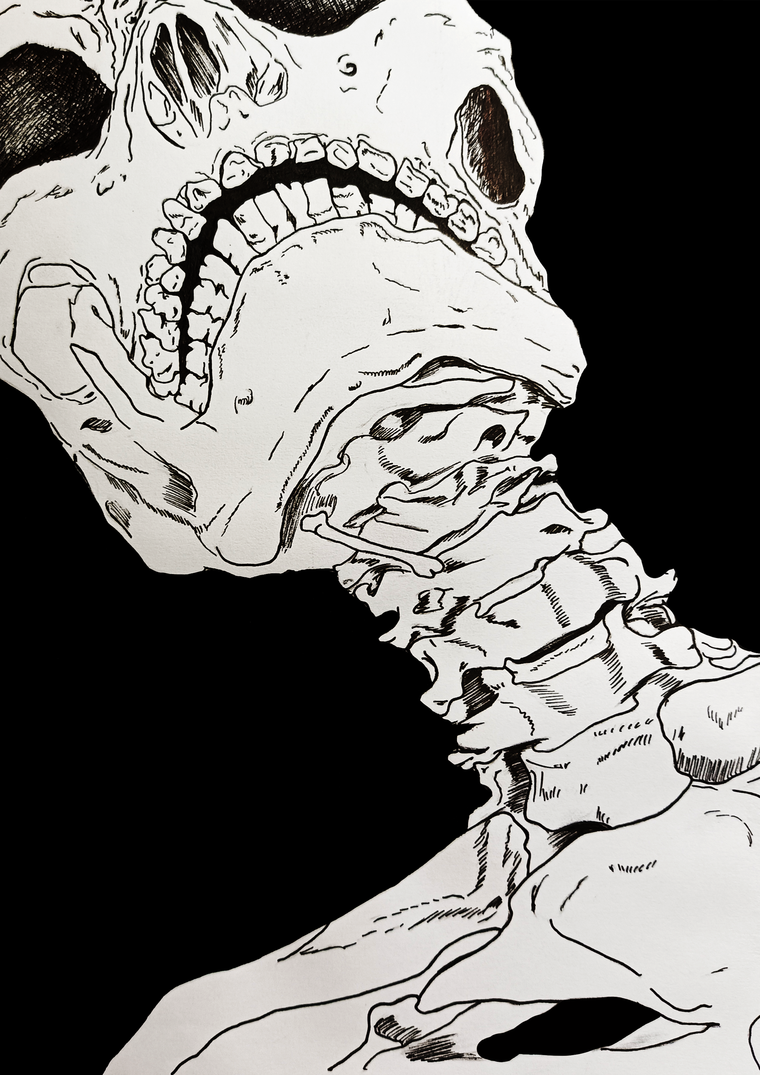 s5.png