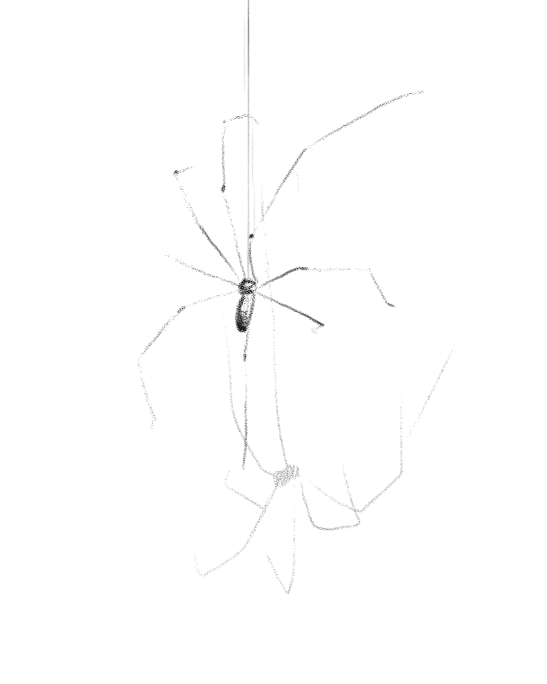 Artboard 1.png