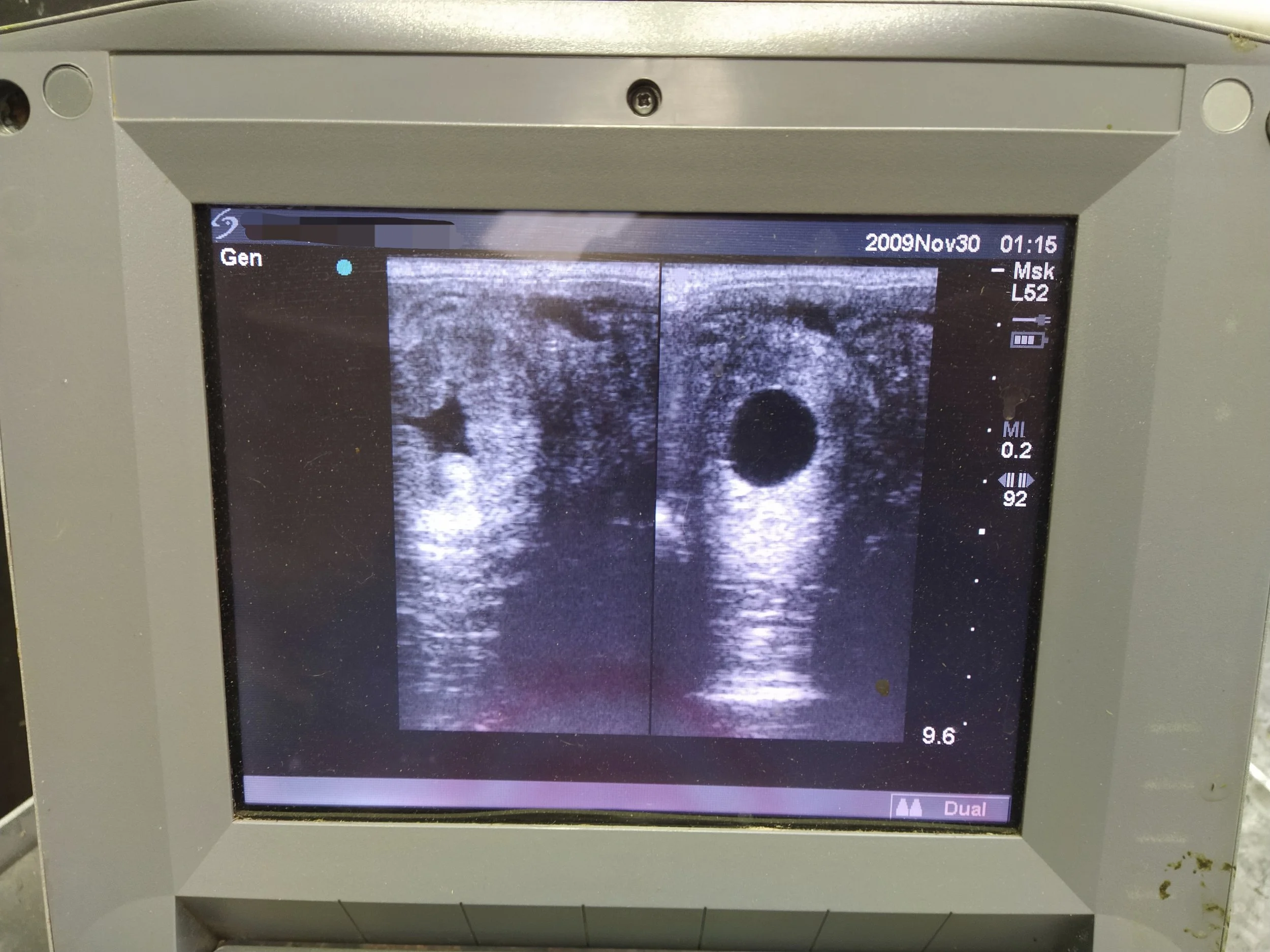 Valley Equine Vet Service Horse Equine Vet Yarra Valley Yarra Ranges Seville Lilydale Reproduction services ultrasound AI breeding after hours emergency