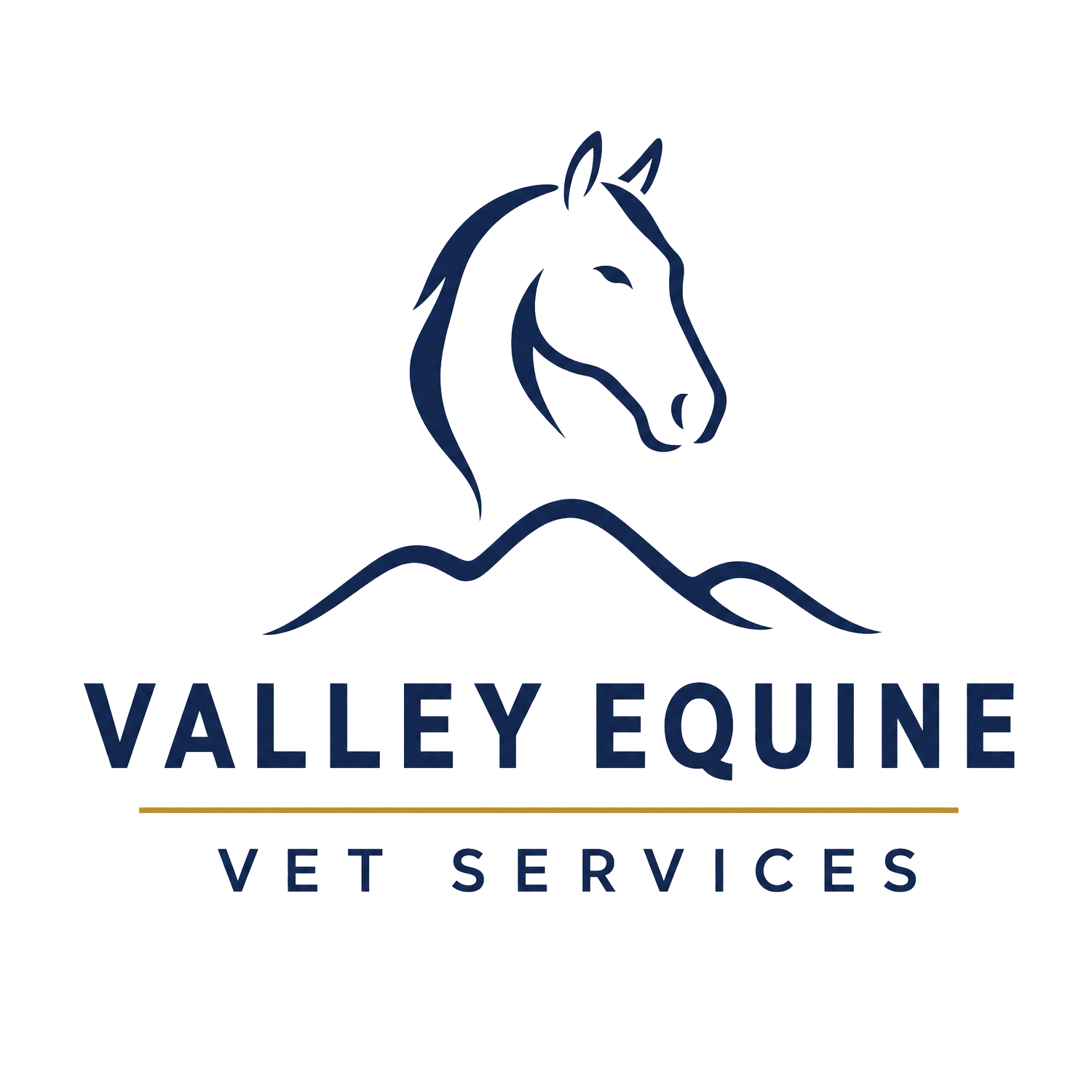 Valley Equine Vet Services