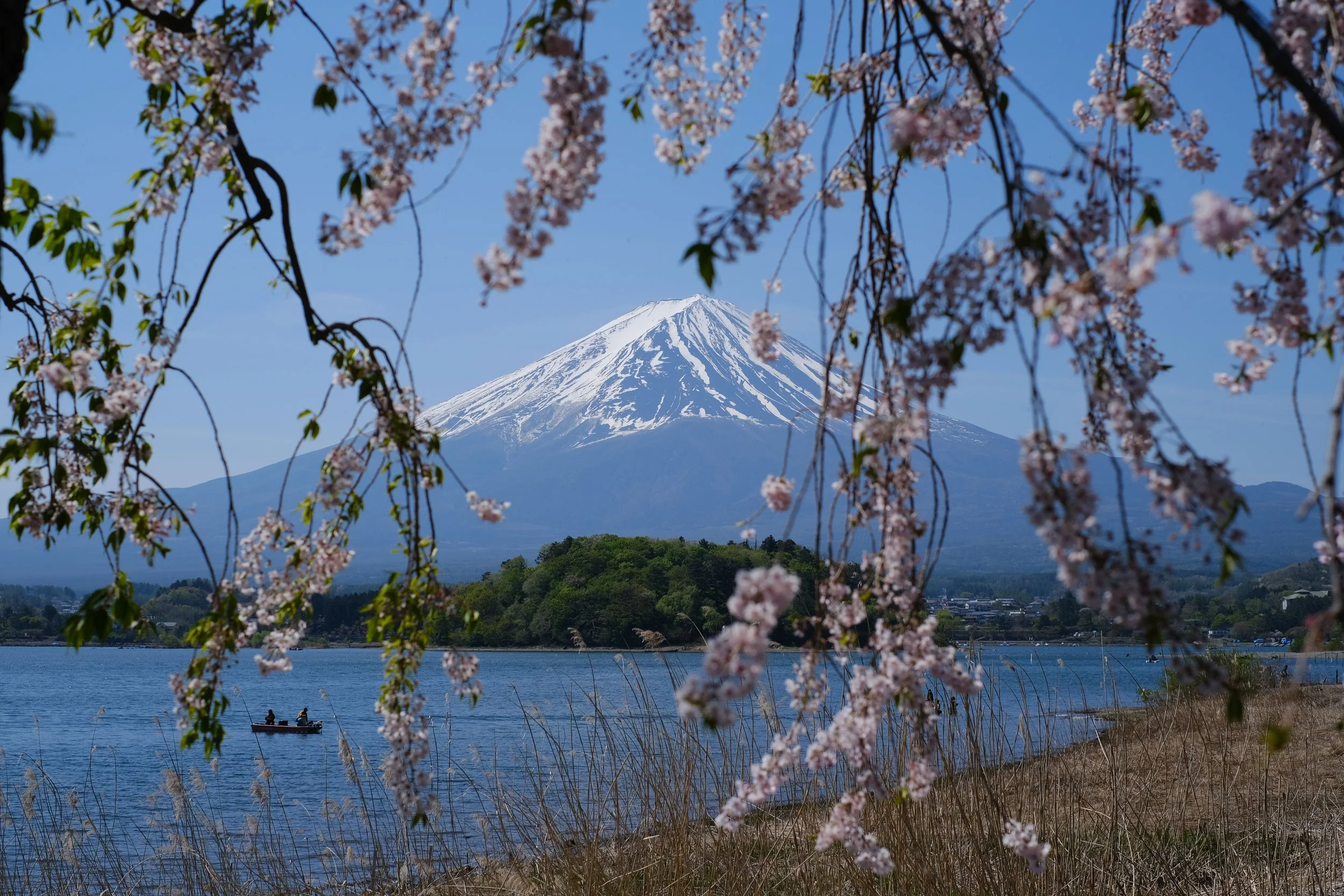 14 Days in Japan