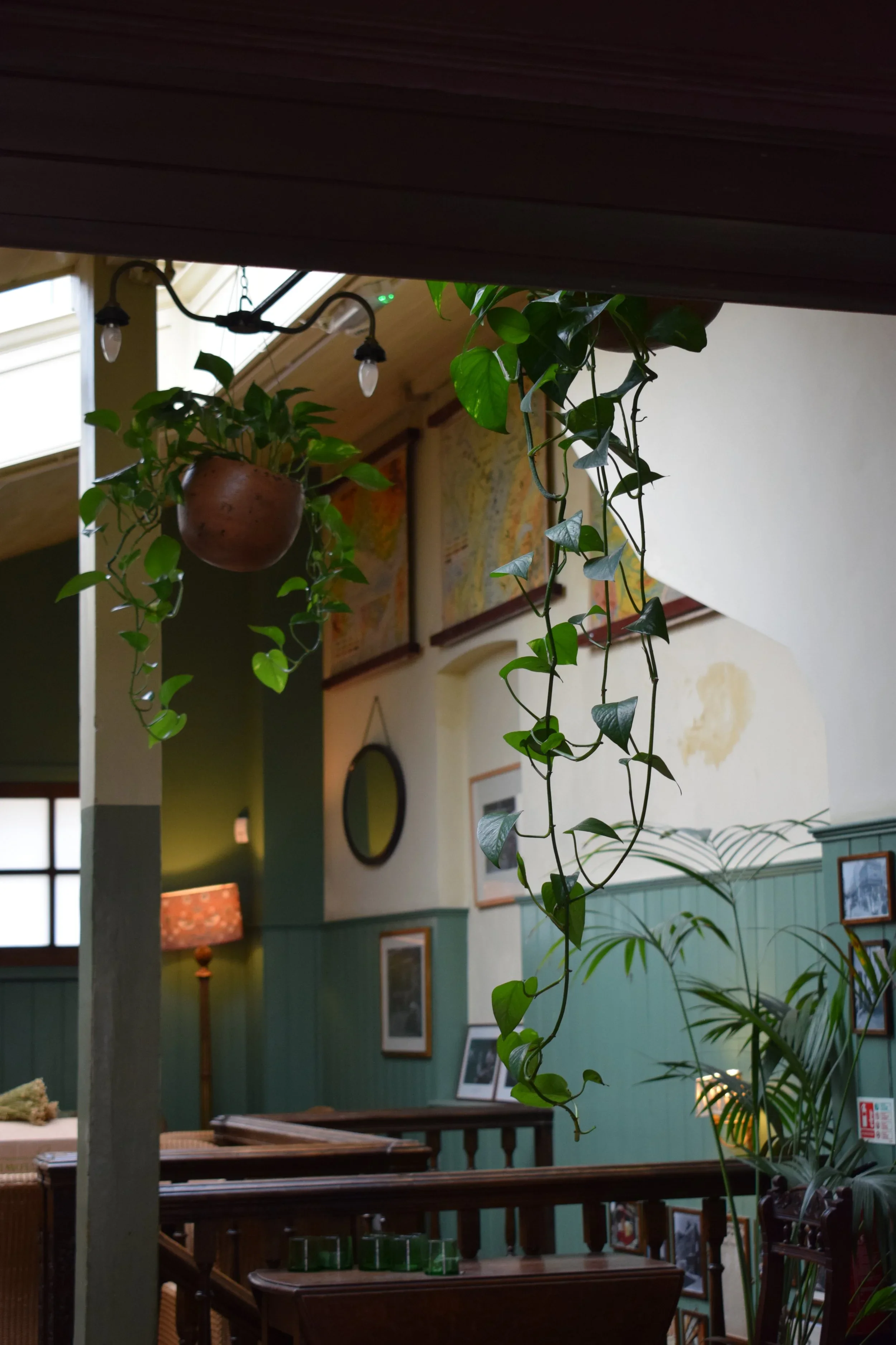 studio plant.webp