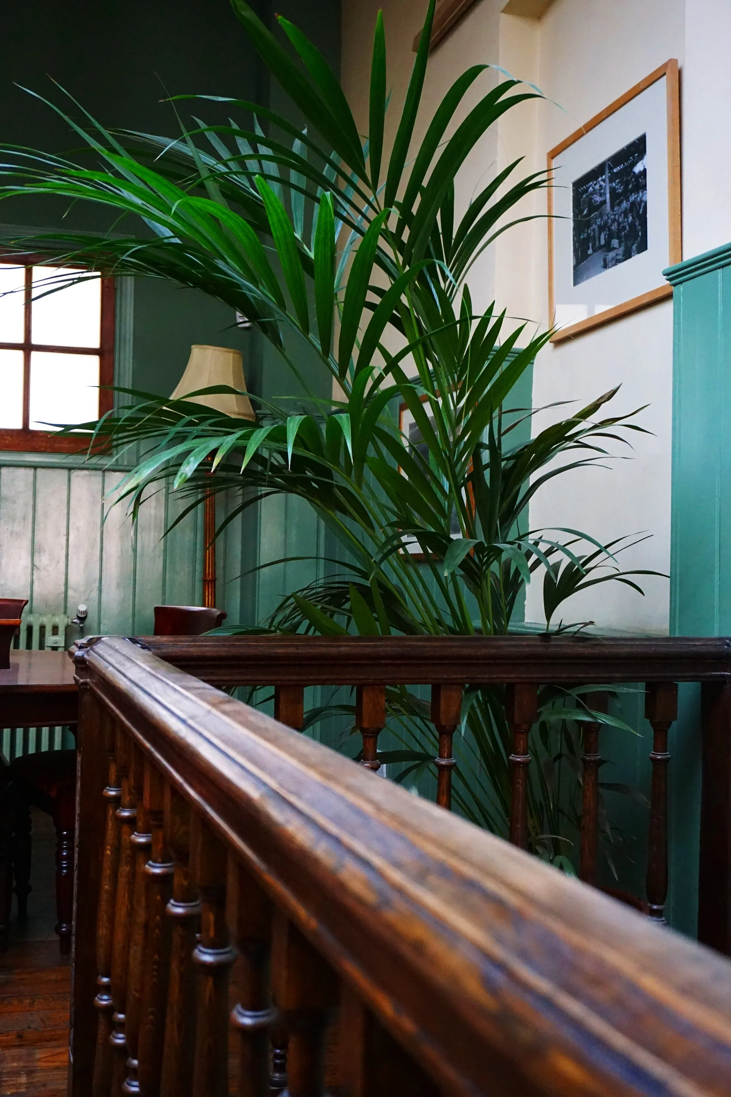 studio plant 2.webp