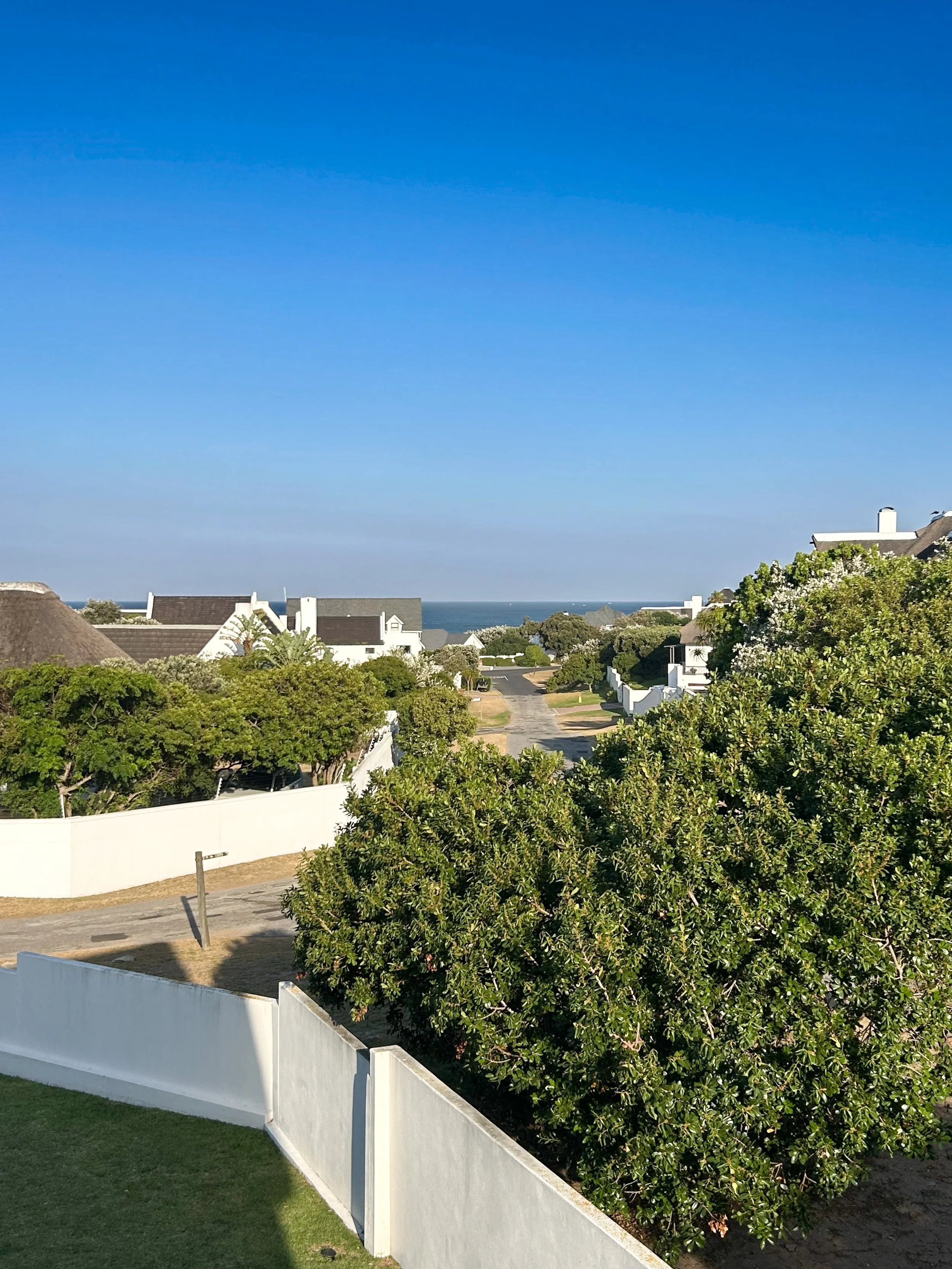 View of a coastal neighborhood with houses, green trees, a clear blue sky, and the ocean in the distance.