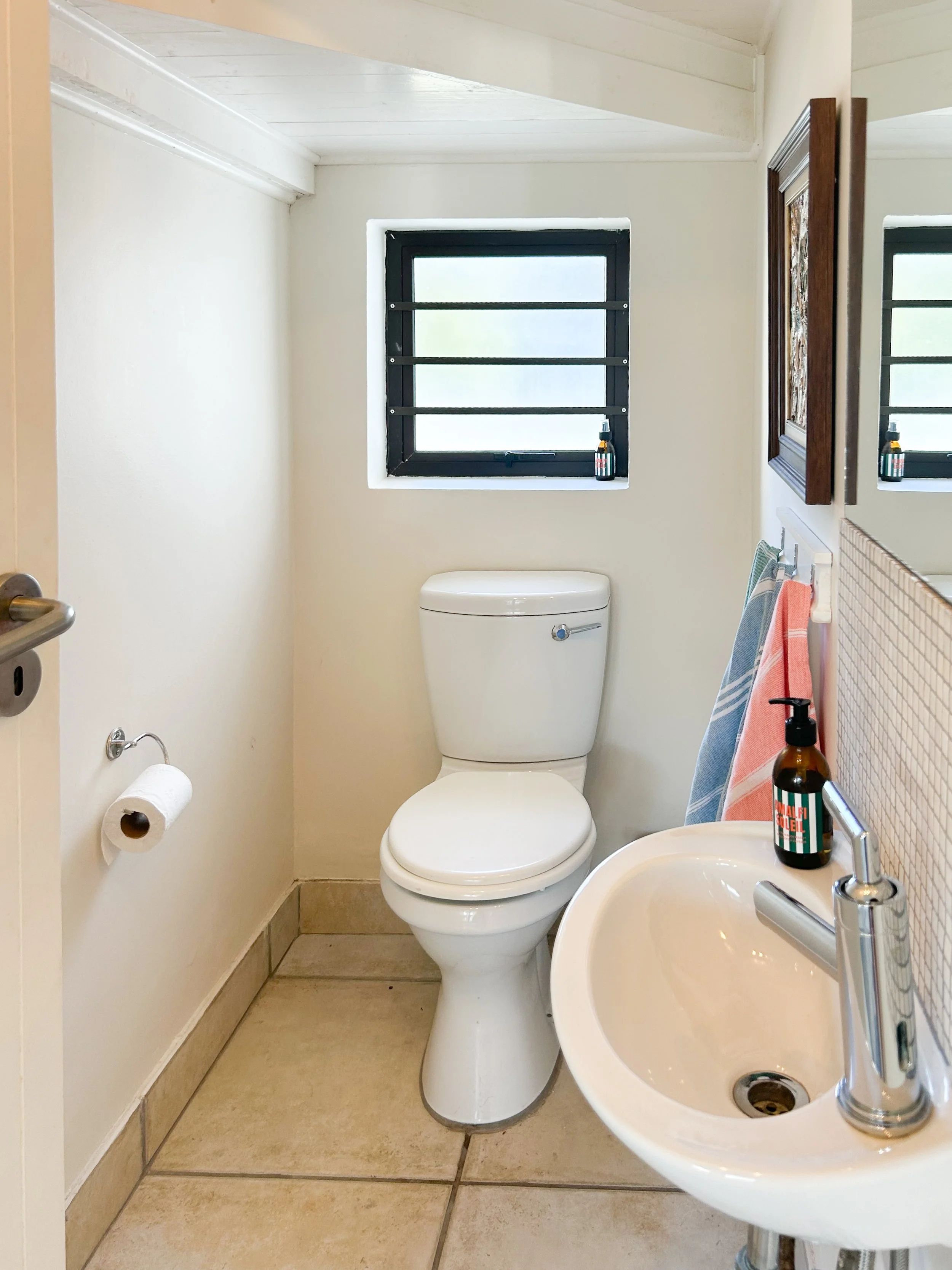 Downstairs guest bathroom