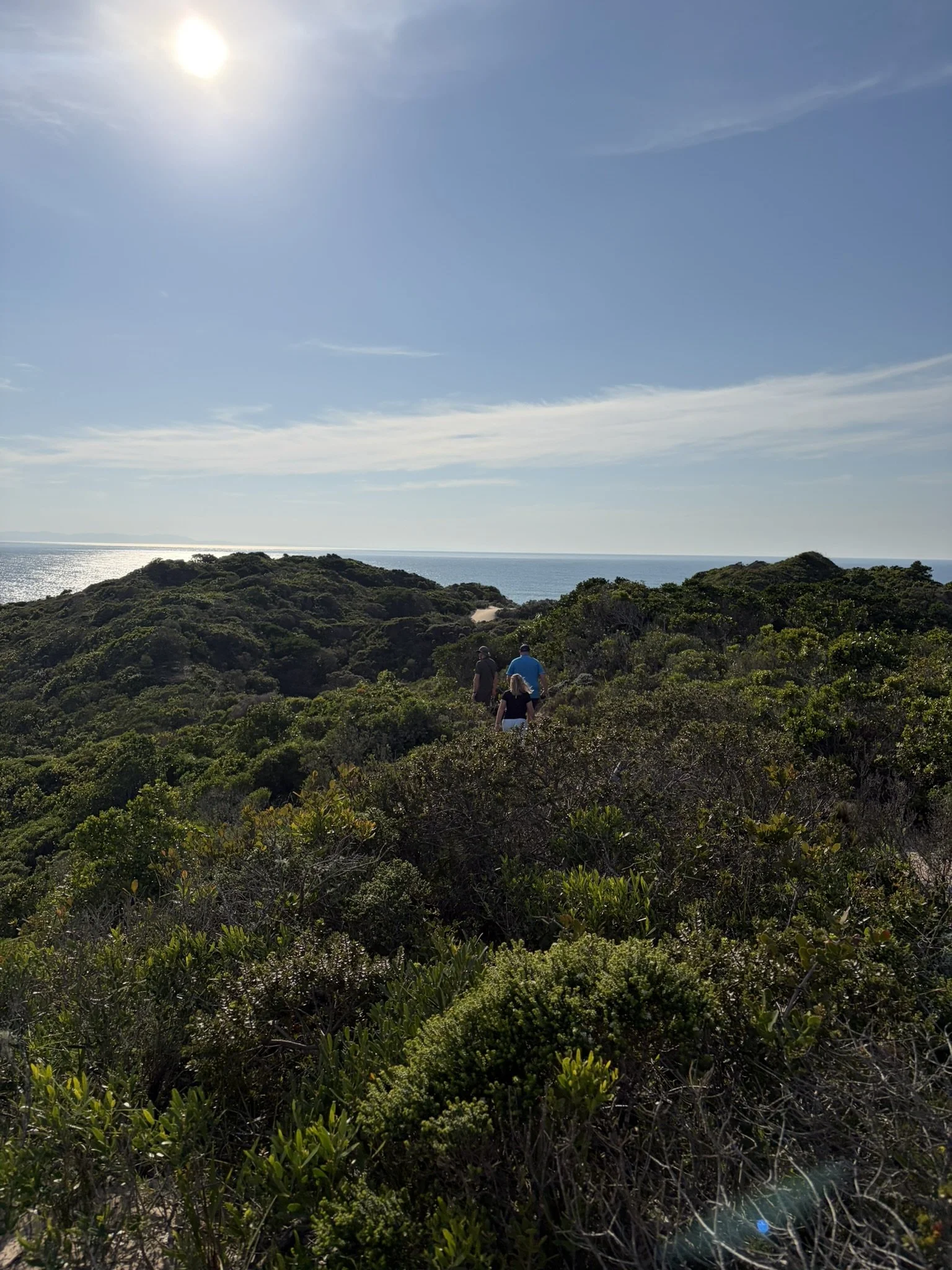 A landscape with dense green bushes and trees in the foreground, a calm ocean in the middle ground, and a clear blue sky with the sun shining brightly overhead.
