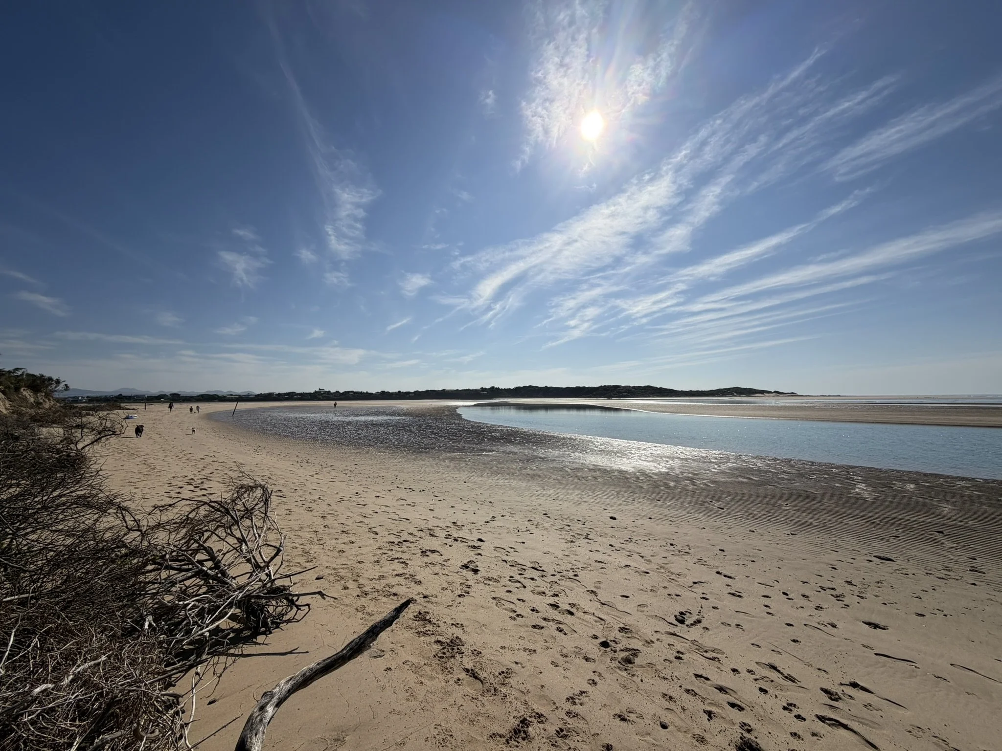 A sandy beach with some driftwood in the foreground, a river or estuary, and a clear sky with the sun shining brightly. There are a few people walking along the shoreline in the distance.