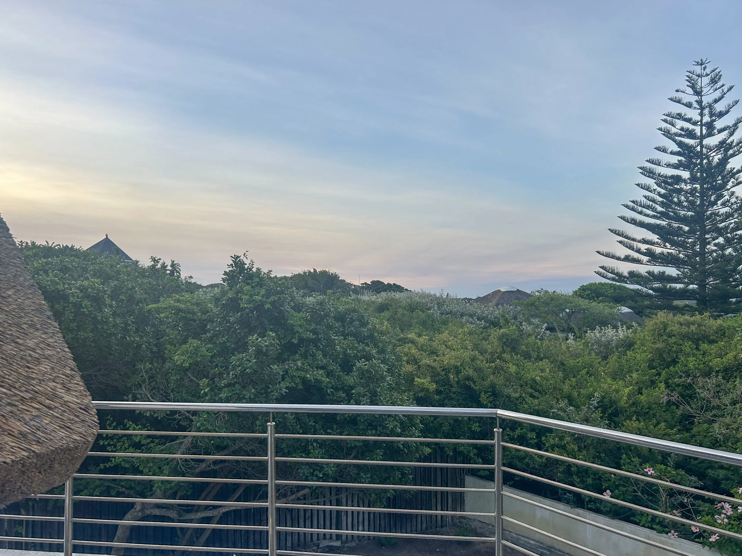 A view of a cloudy sky above trees, rooftops, and a railing, with a thatched roof in the lower left corner.