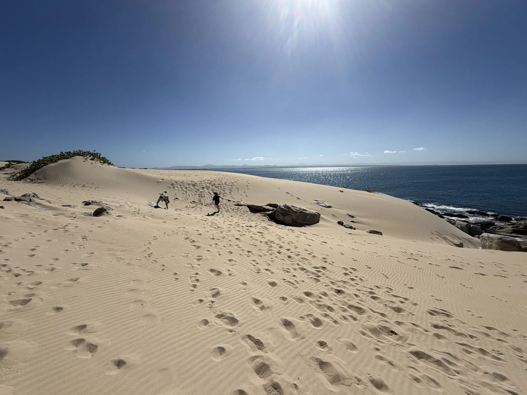 aerial dune view with walkers and dogs