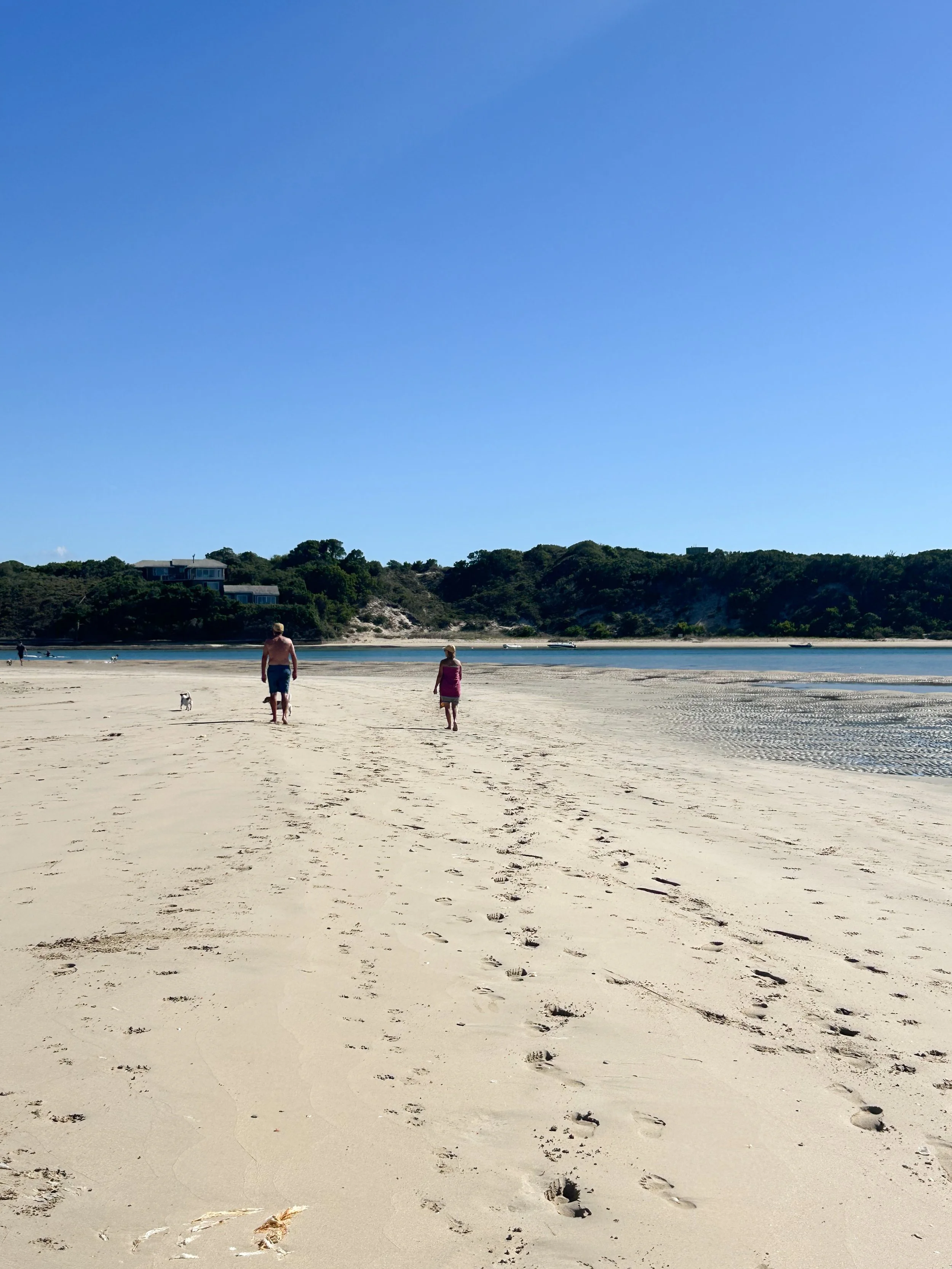 A sandy beach with a person and a dog walking away from the camera, footprints in the sand, calm water, green hillside with houses in the distance, blue sky.