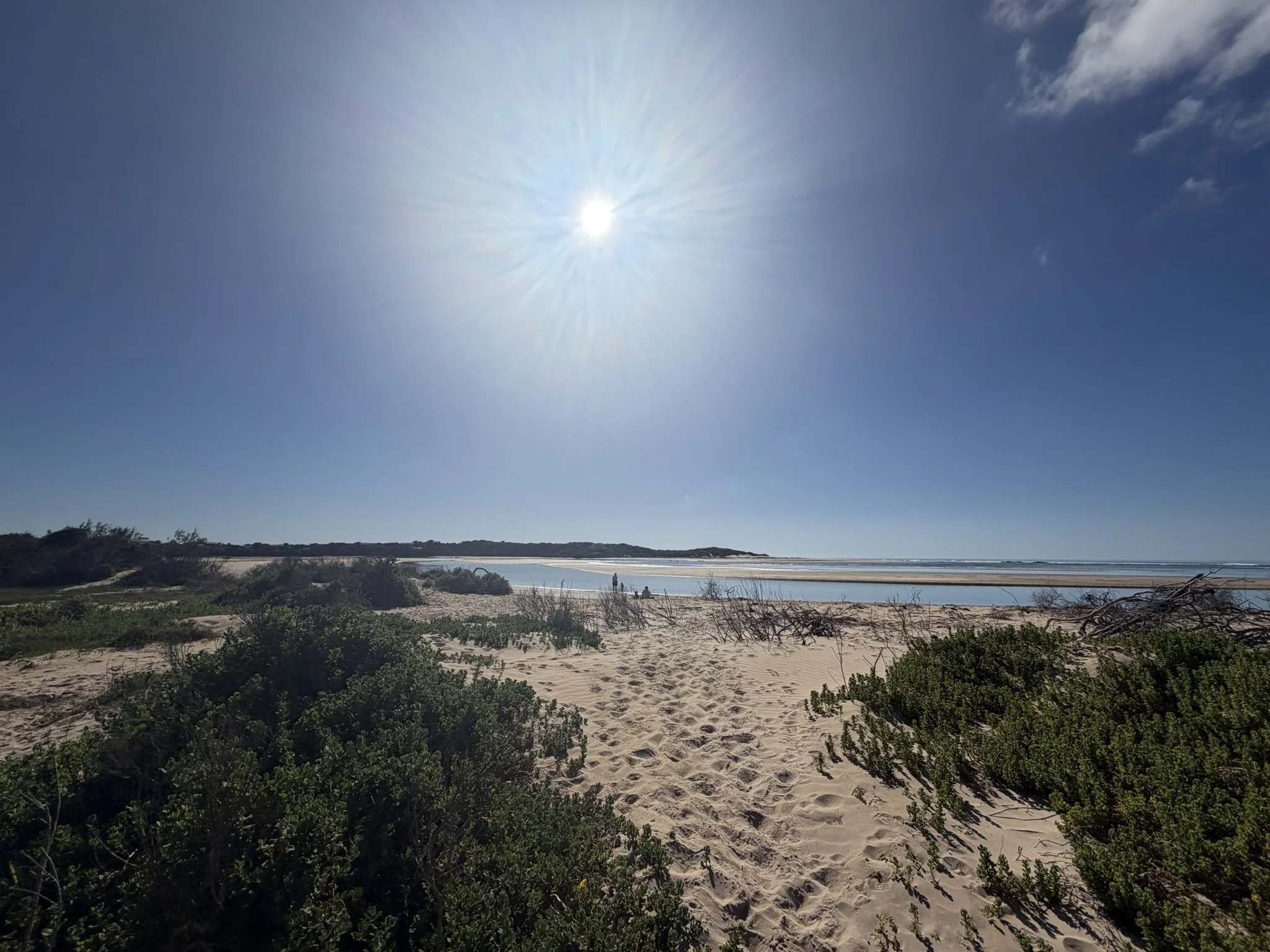 A sunny day at the beach with clear blue sky, sandy shore, green bushes, and distant ocean with a person walking along the water