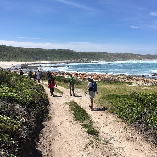 Hikers walking a coastal trail overlooking the sea near St Francis Bay