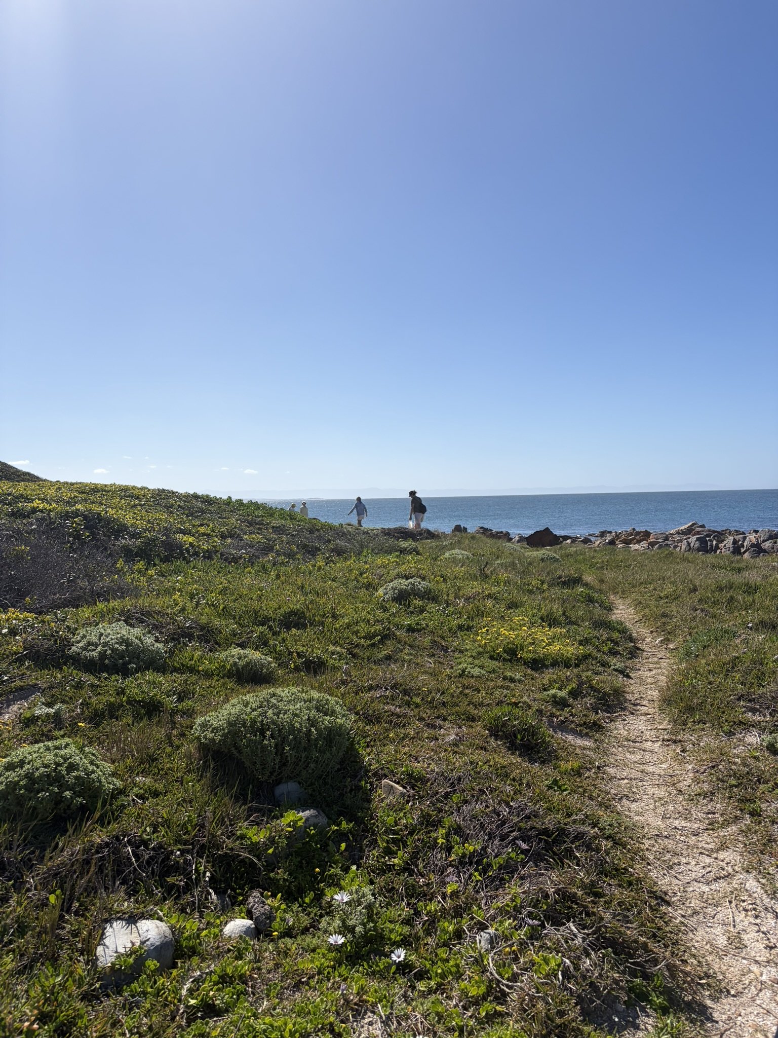 fynbos trail down to the shoreline