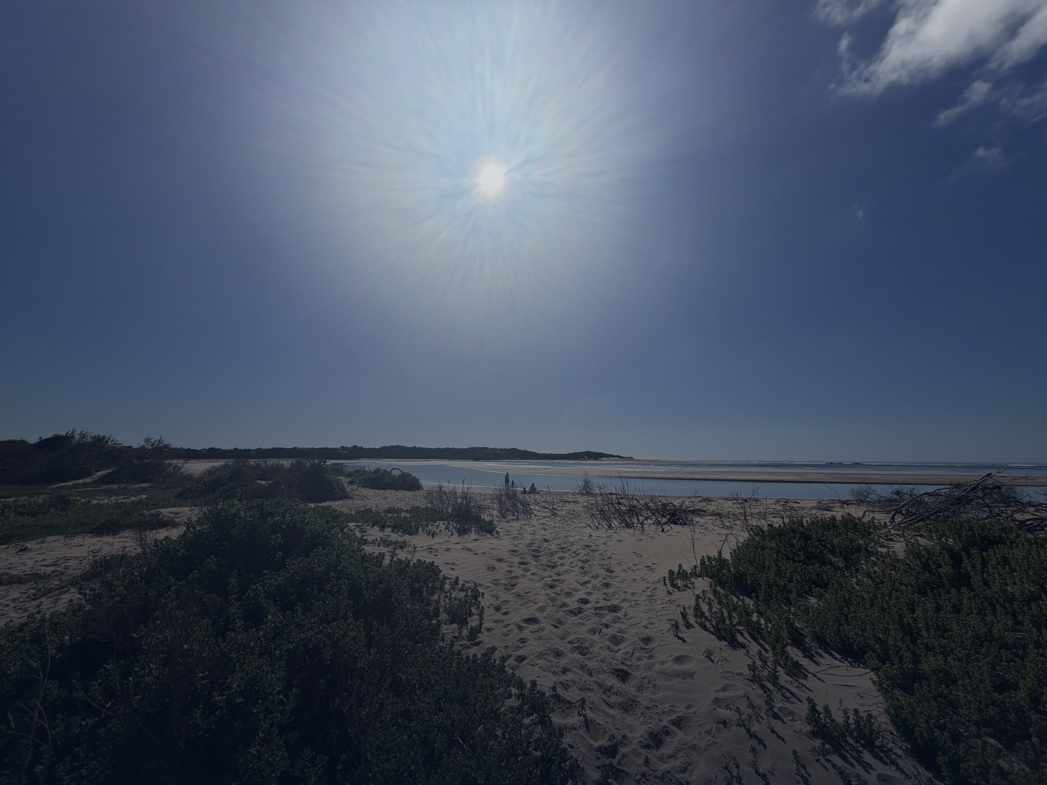 A scenic view of a beach with a sandy shore, some low green bushes, calm water, and a clear blue sky with the sun shining brightly.