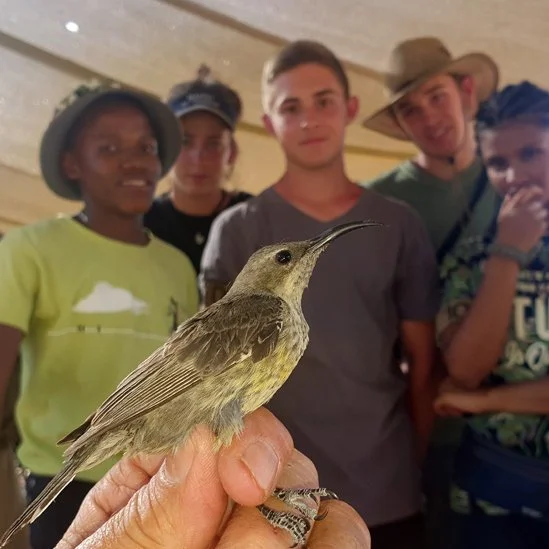 Conservation Holidays for teenagers: Bird Ringing Namibia