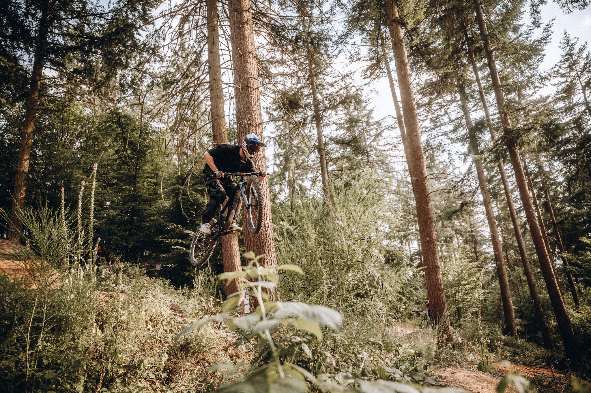 Ein Mountainbiker fährt durch einen Wald mit hohen Bäumen und dichtem Grün.Marvin Lahrs Sport Fotograf