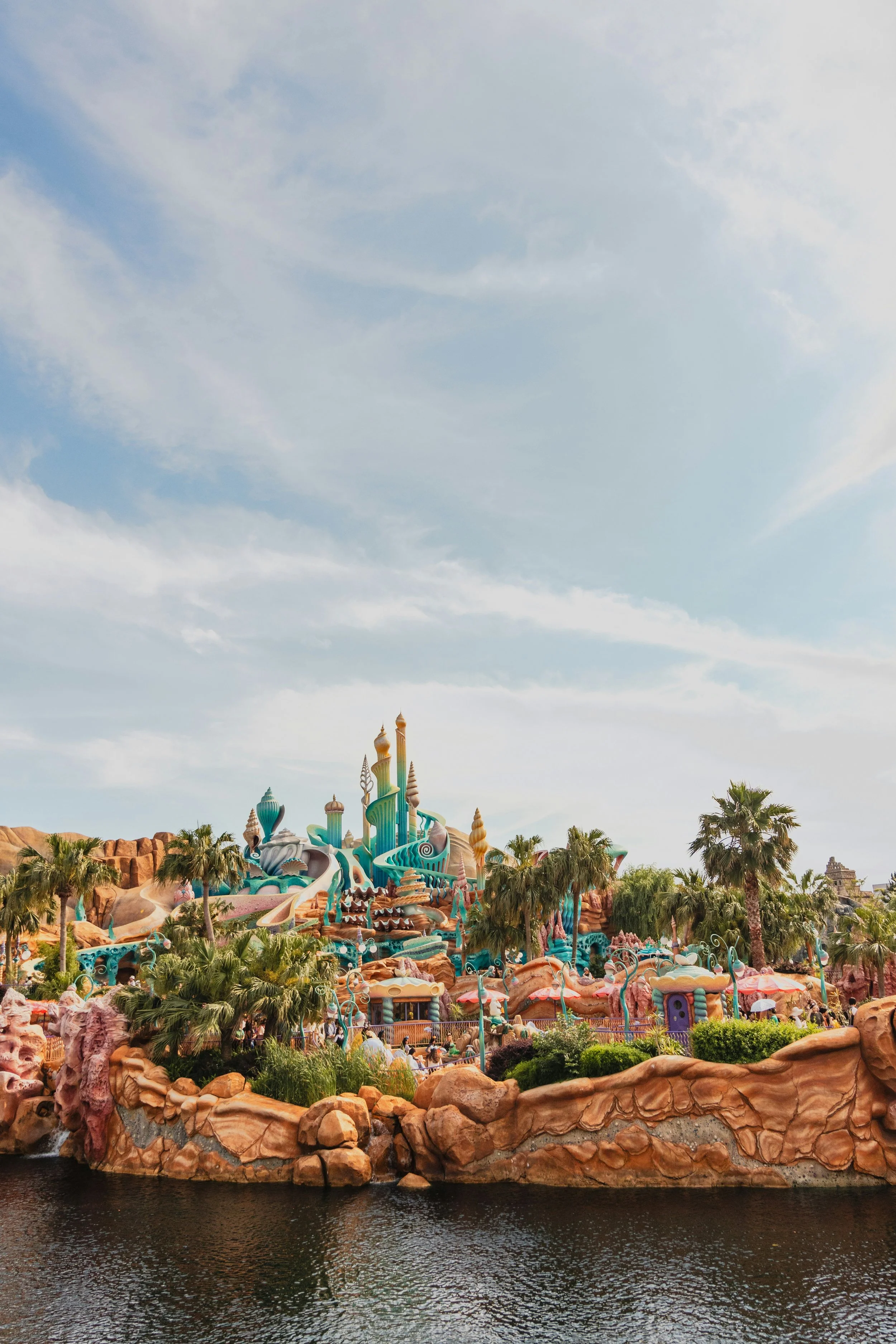 Expert planning for Tokyo Disney - Passport with Paris