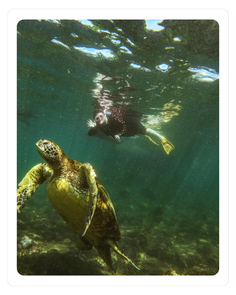 Snorkelling in Isabela Island, Galapagos - Passport with Paris
