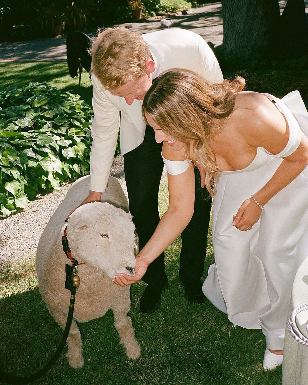 We love our four-legged friends of Beltane... adds a touch of ranch to the elegance.
.
Planning + Design @carrieelizabethevents
Venue @beltaneranch
Caterer @jessicalaskycatering
Photo @annaaelizabethphoto
Booth @photomatica
DJ @adam.twelve
Rentals @e