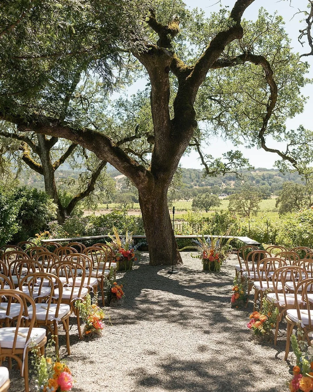 The calm before the ceremony starts 🌿. Every seat set, every stem placed, every detail checked off the list. 
.
Planning + Design @carrieelizabethevents
Venue @beltaneranch
Photo @annaaelizabethphoto
Rentals @encoreeventsrentals @theonicollection
Fl