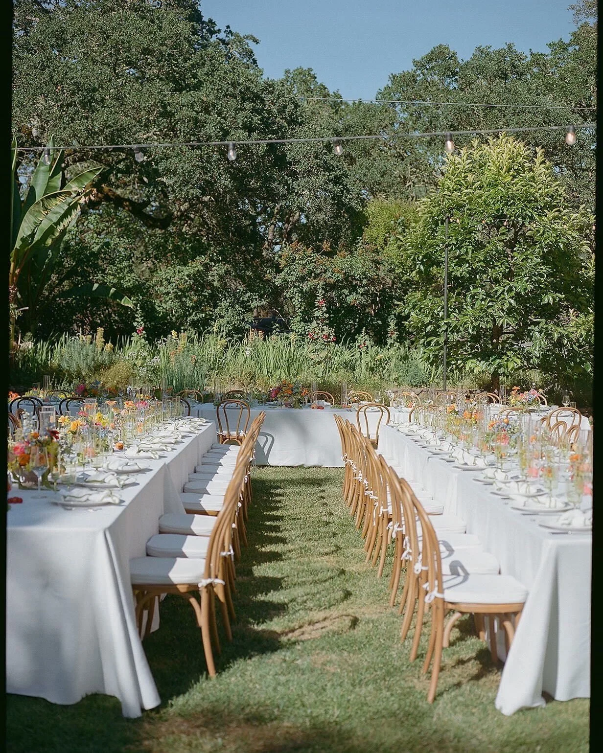 Proof that the best tablescapes are grown, not bought. 🍊 
.
Planning + Design @carrieelizabethevents
Venue @beltaneranch
Photo @annaaelizabethphoto
Rentals @encoreeventsrentals @theonicollection
Florals @perryflorals
Paper @nicetystudio @nouille.des