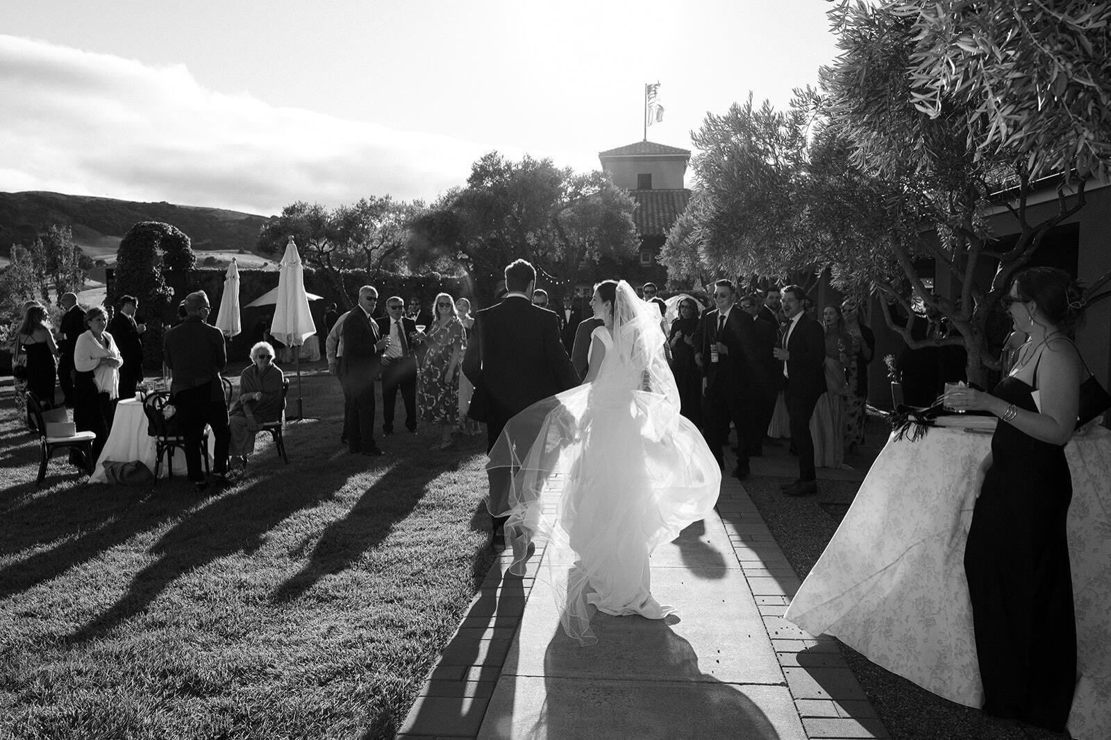 A veil caught mid-motion, and a whole crowd cheering them on. Viansa never disappoints!
.
Planning &amp; Design @carrieelizabethevents
Venue @viansasonoma
Photo + Video @tomirwin.co
Floral @eothen_
Rentals @encoreeventsrentals
Bride @joangilbertbride