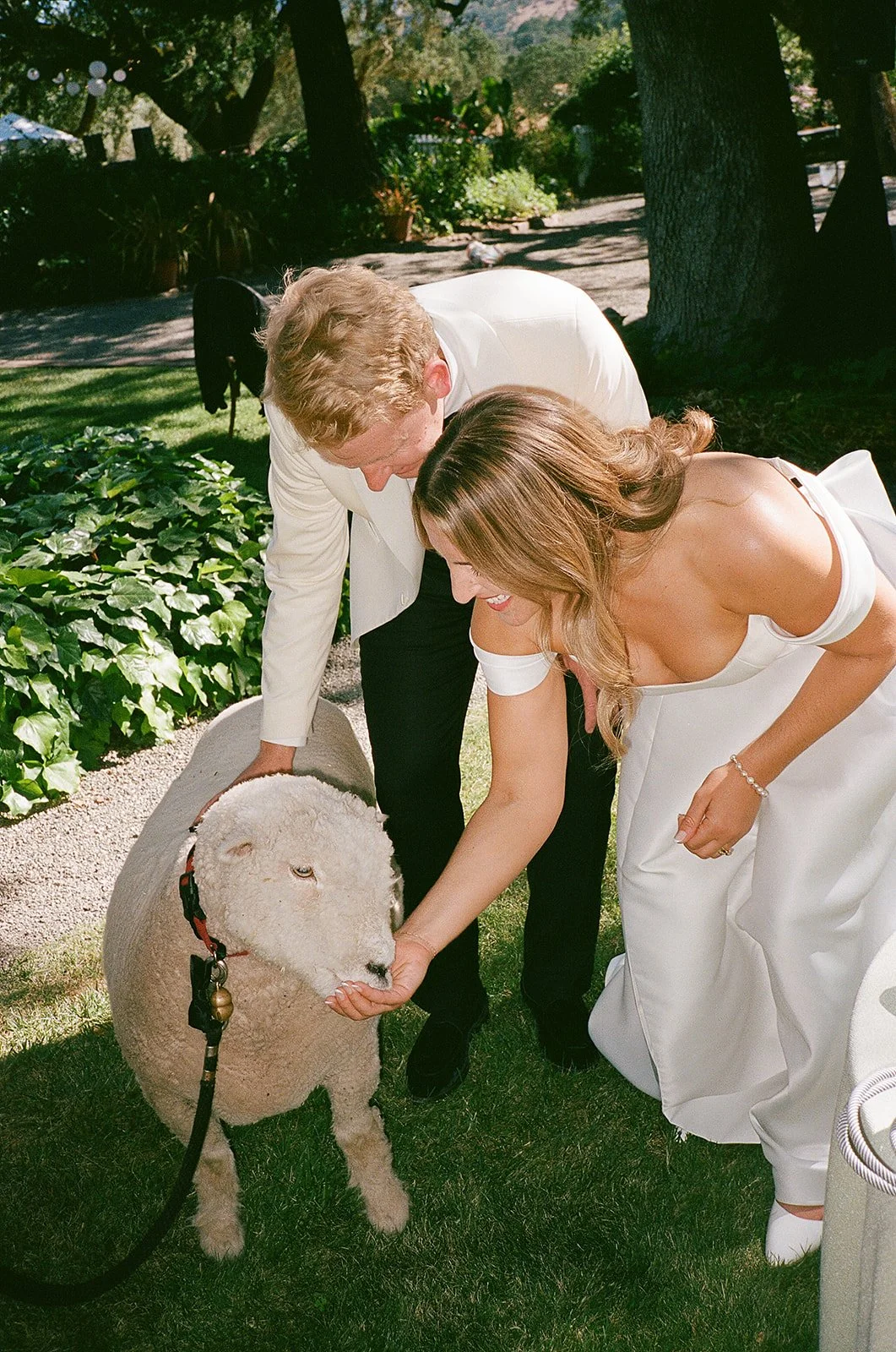 Zoe+Sam-Beltane-Ranch-Wedding-747.jpg