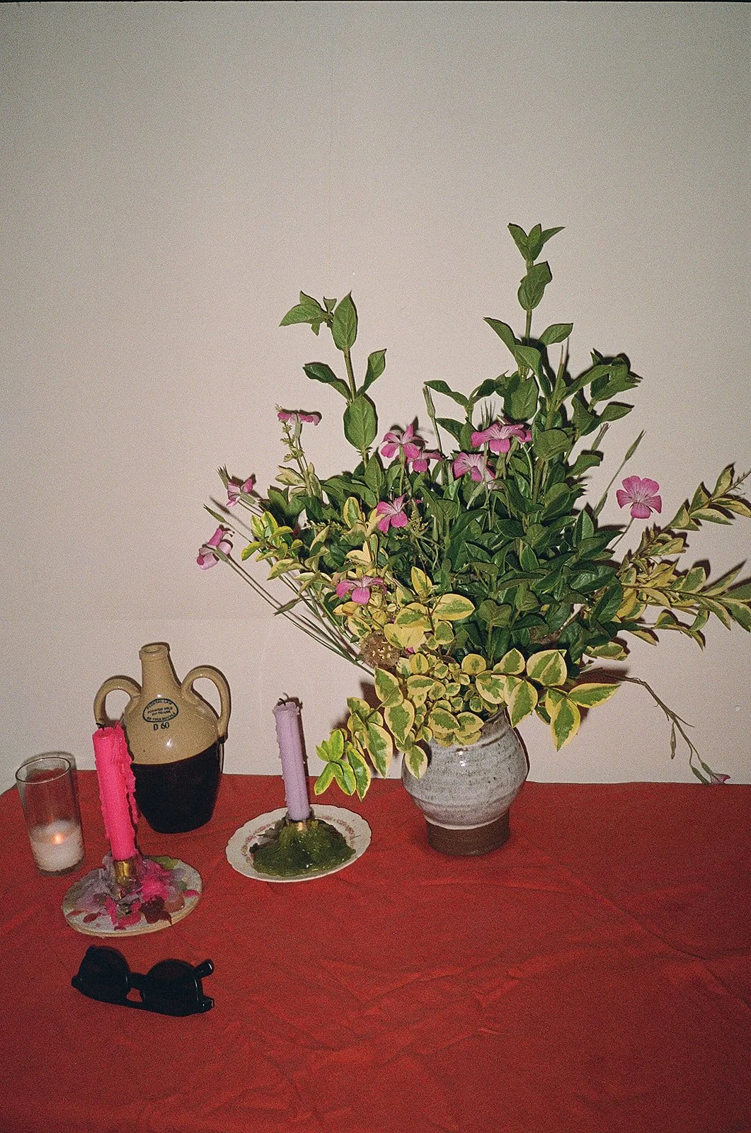 SCROLL_AnnaElizabethPhoto6.jpg