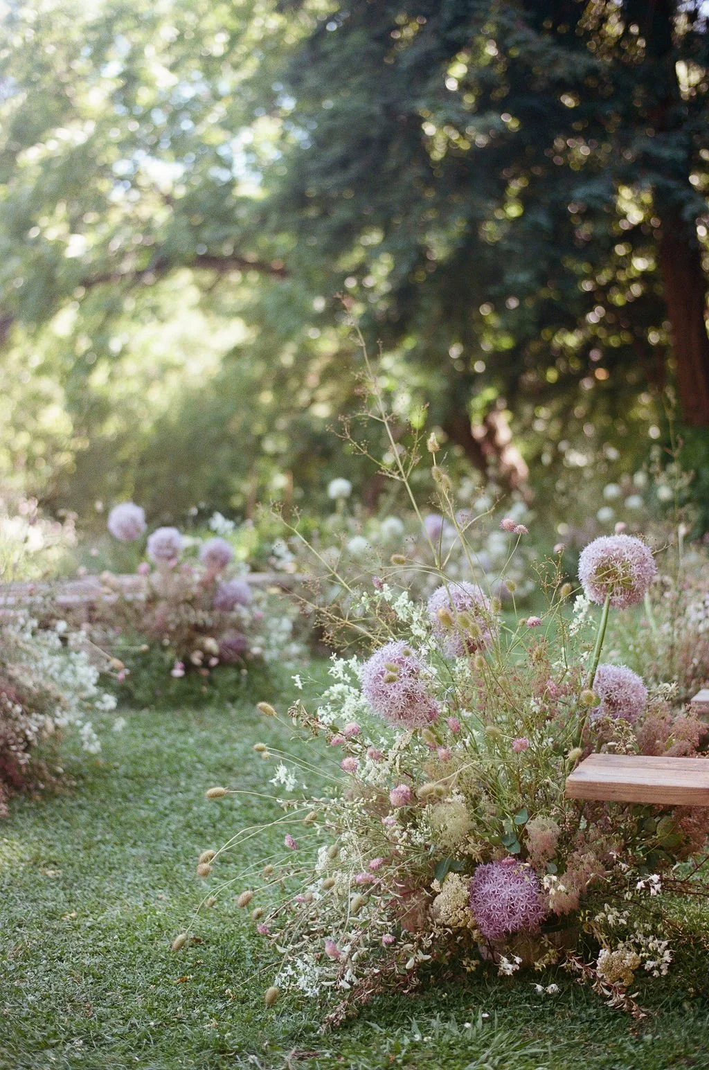 Carla&Ian35mmFilm-26.jpg