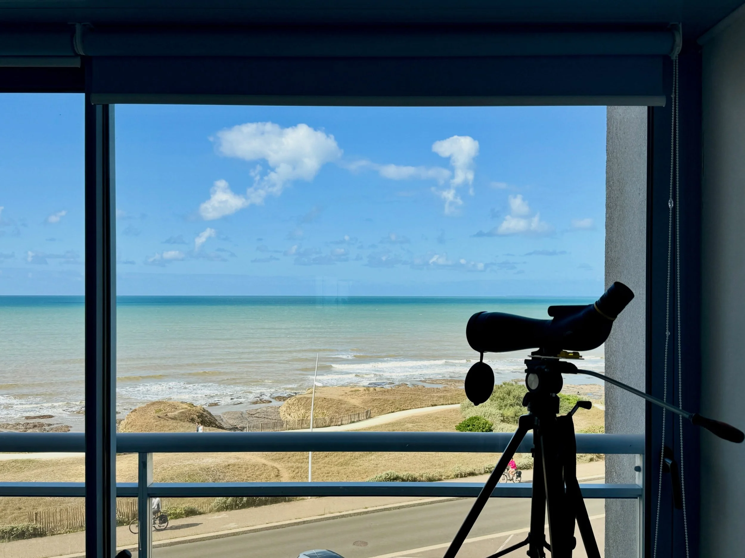 Le curage : peut-&ecirc;tre pas l&rsquo;&eacute;tape la plus instagrammable d&rsquo;un chantier&hellip;

La vue depuis la location temporaire de mes clients pendant les travaux : en revanche&hellip; clairement. 😍

Petit changement de d&eacute;cor po
