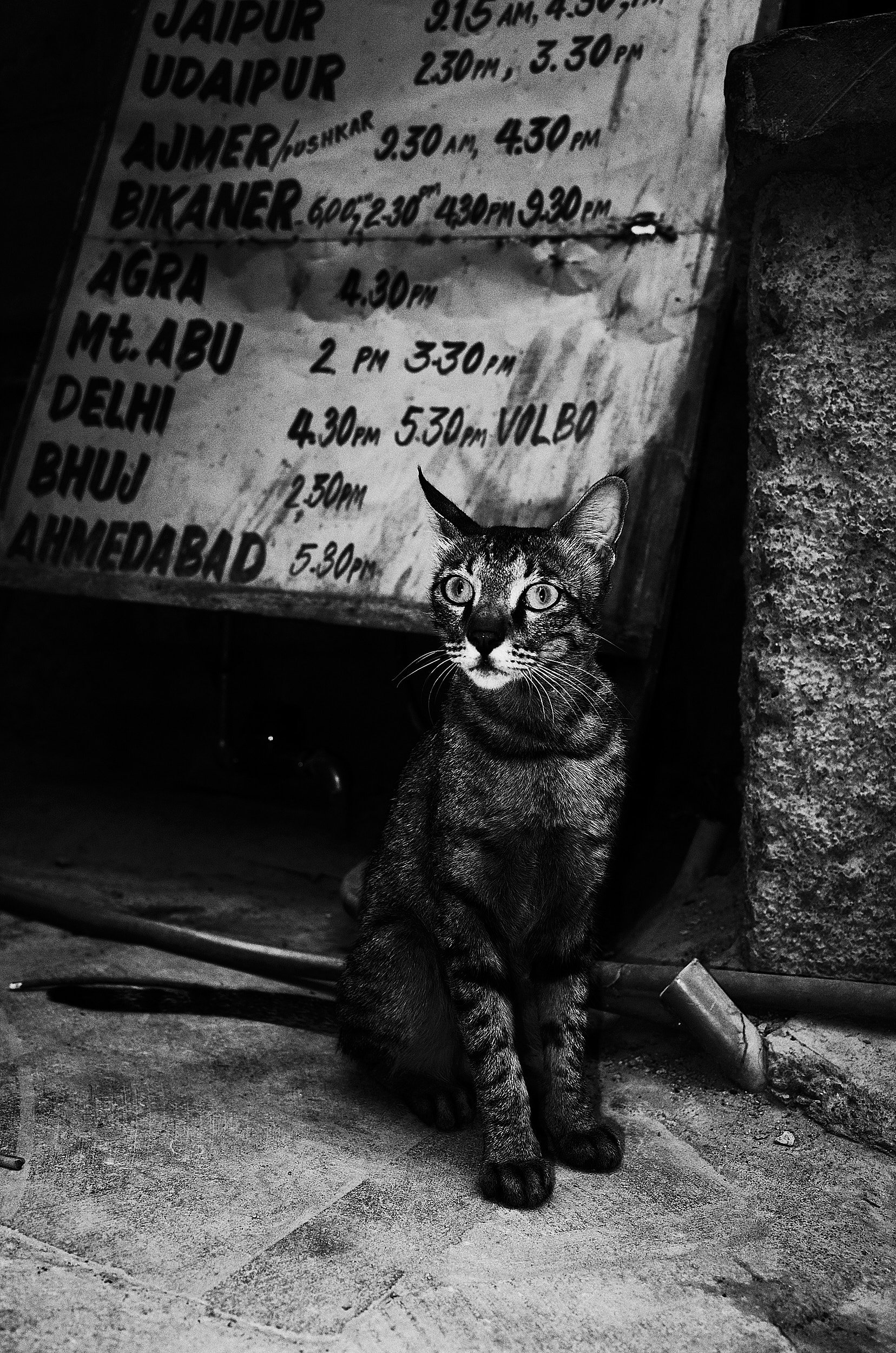 08-eli-dijkers-photography-a-hundred-small-mysteries.jpg