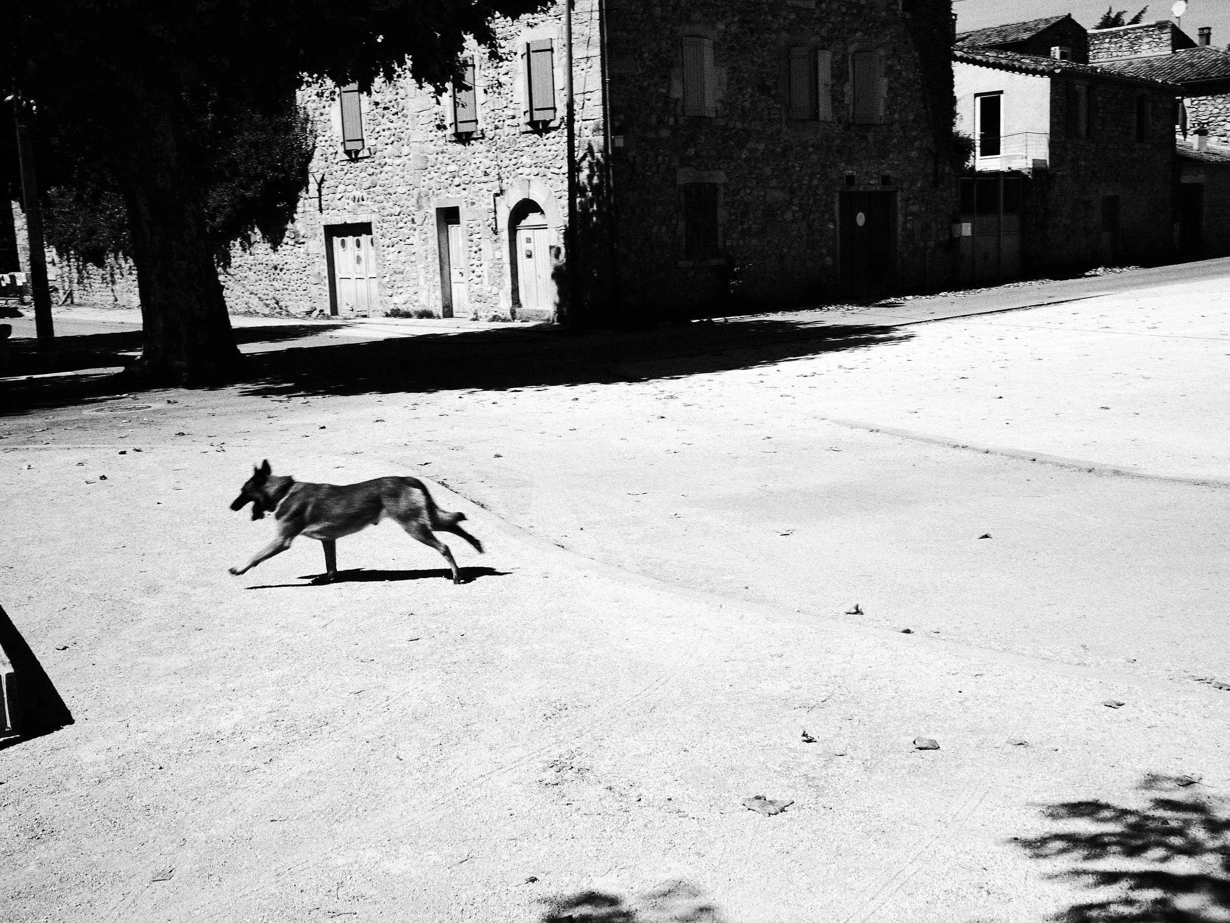 04-eli-dijkers-photography-where-the-river-runs-dry-ardeche-france.jpg