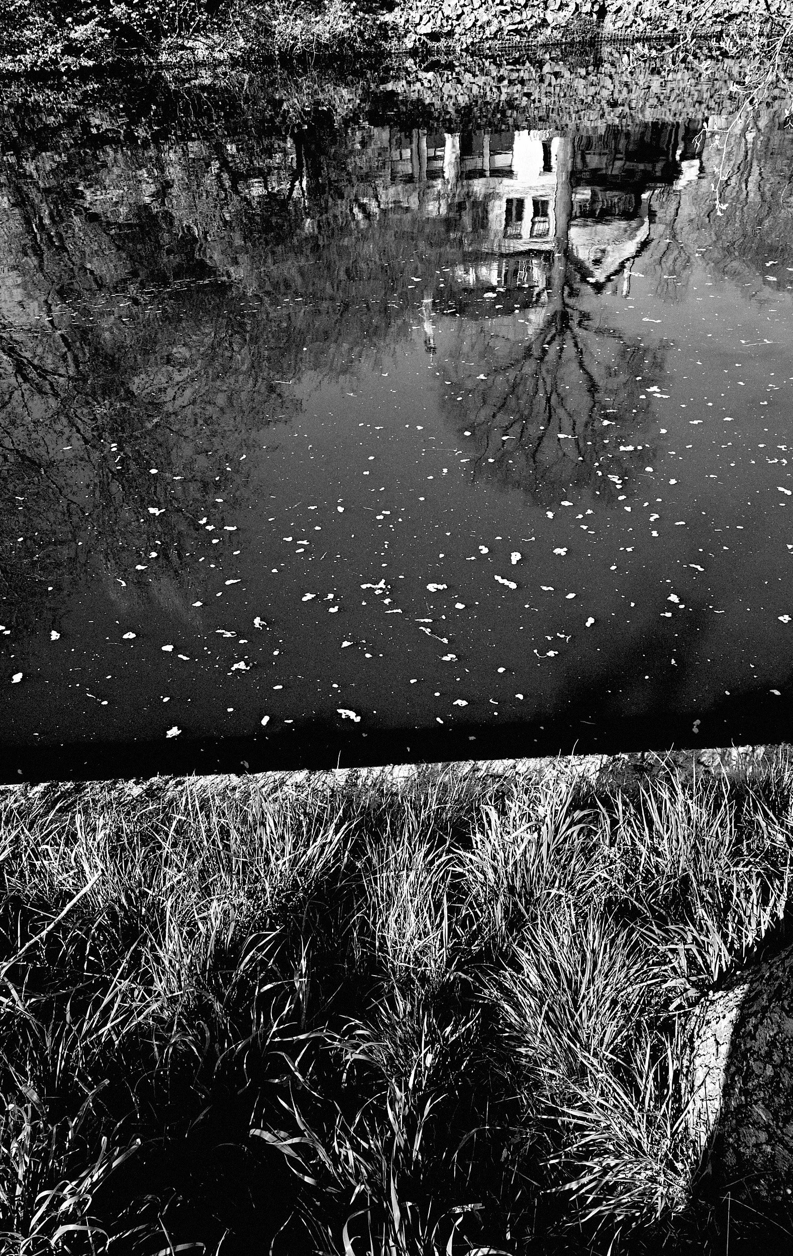 14-eli-dijkers-photography-Groningen-The-Netherlands.jpg