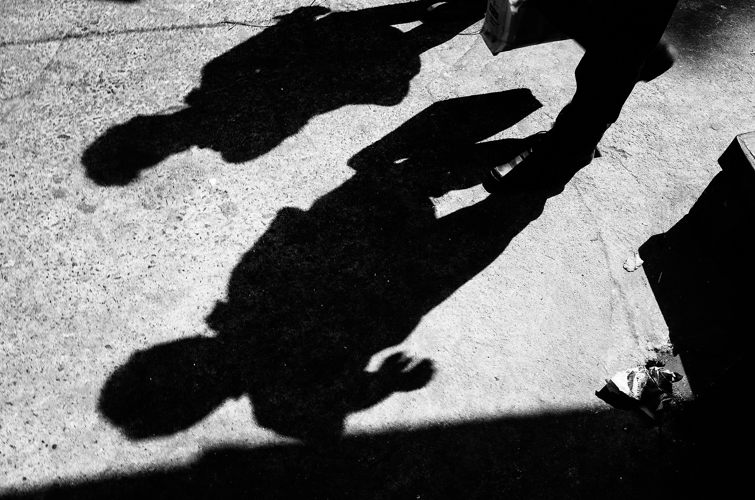 02-eli-dijkers-photography-a-hundred-small-mysteries.jpg