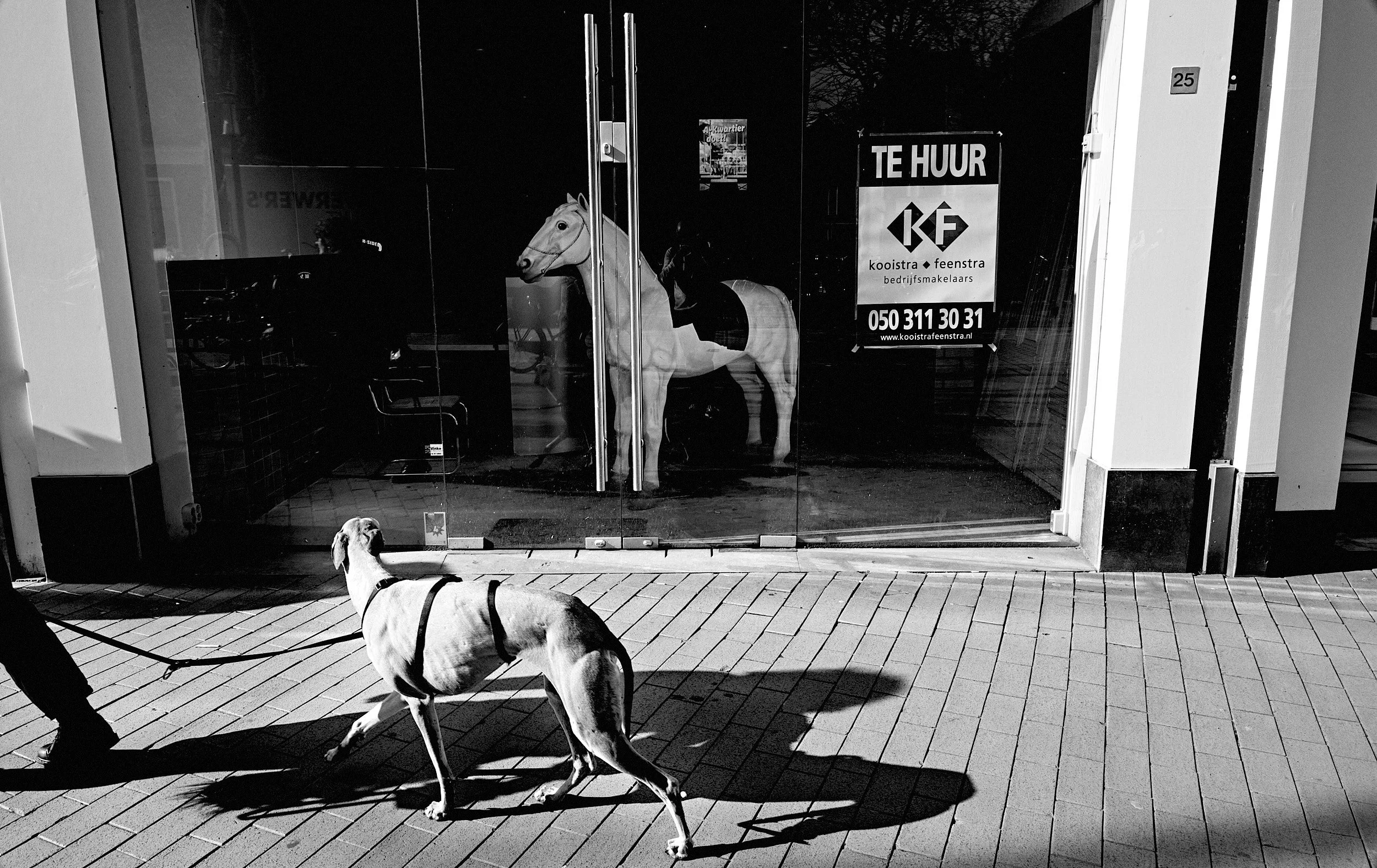 05-eli-dijkers-photography-Groningen-The-Netherlands.jpg