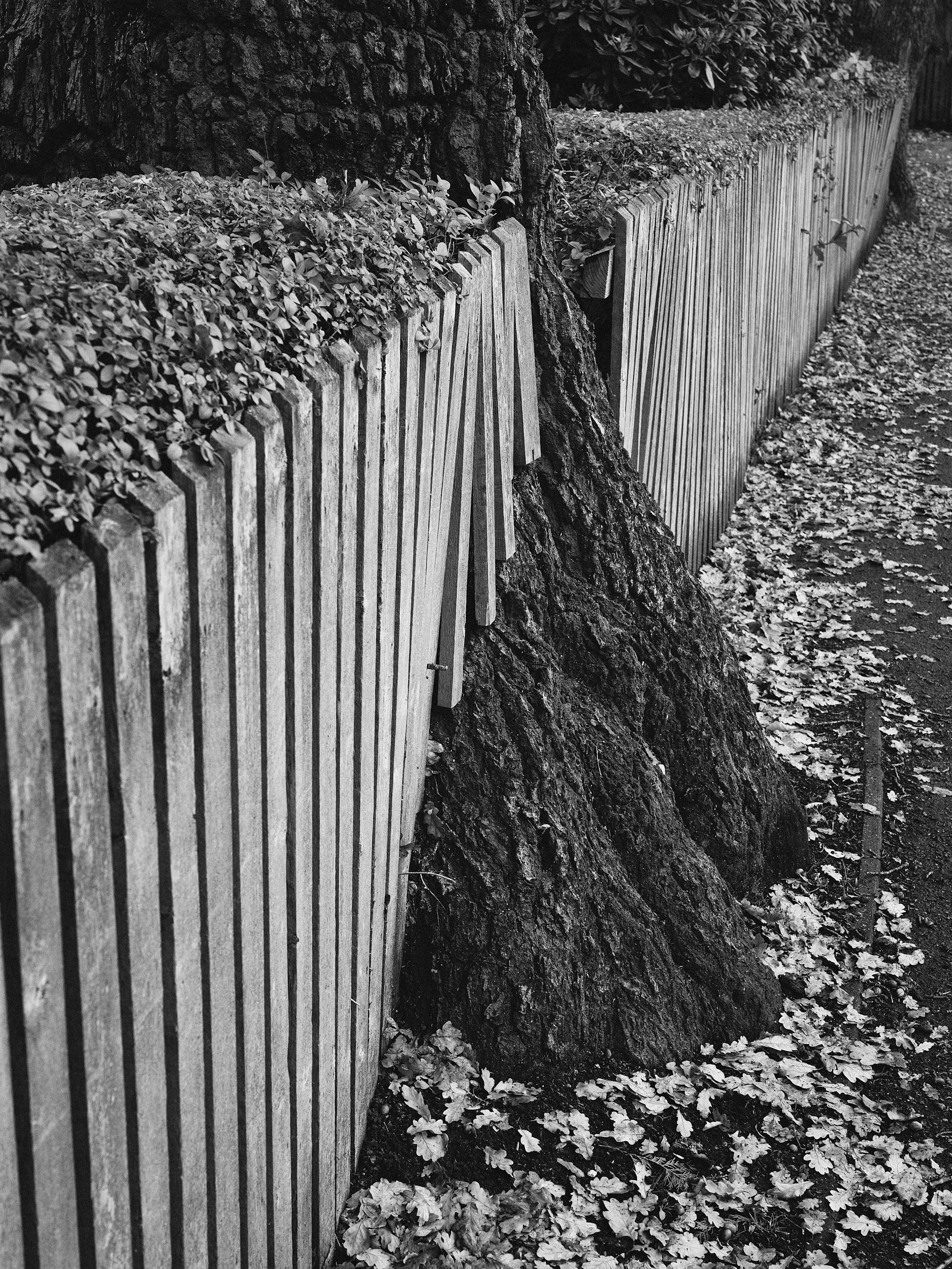12-eli-dijkers-photography-A-Clot-in-Time-Birmingham-UK.jpg