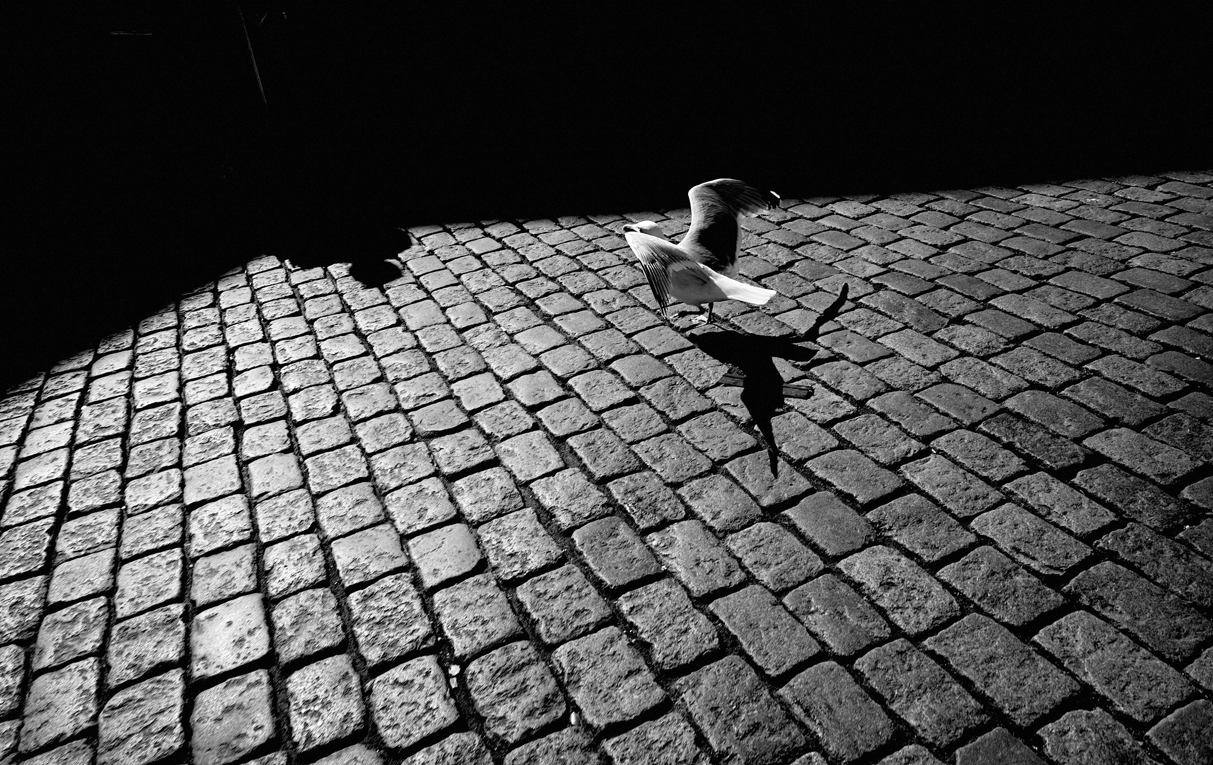 13-eli-dijkers-photography-Groningen-The-Netherlands.jpg