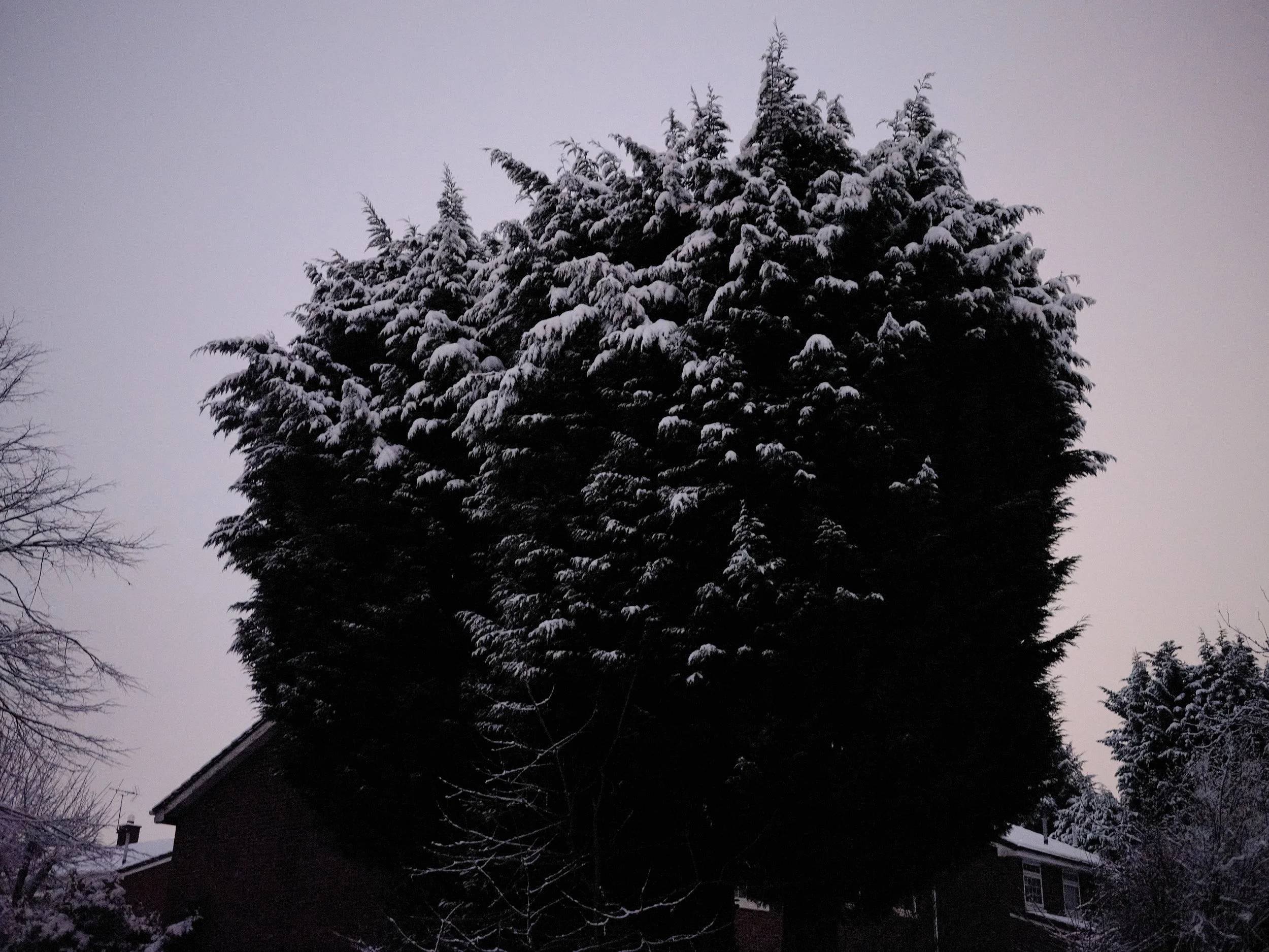24-eli-dijkers-photography-A-Clot-in-Time-Birmingham-UK.jpg