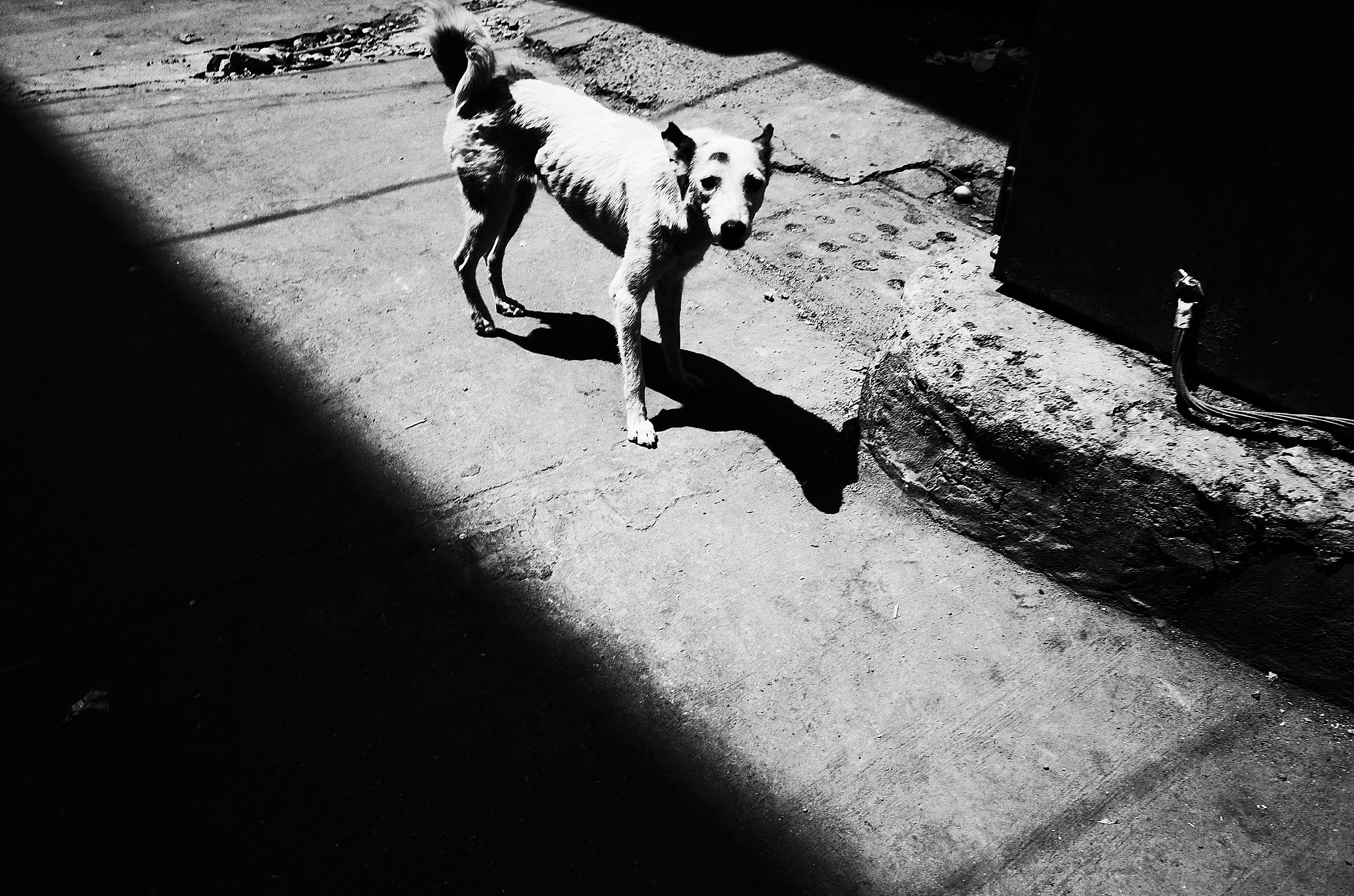 06-eli-dijkers-photography-a-hundred-small-mysteries.jpg